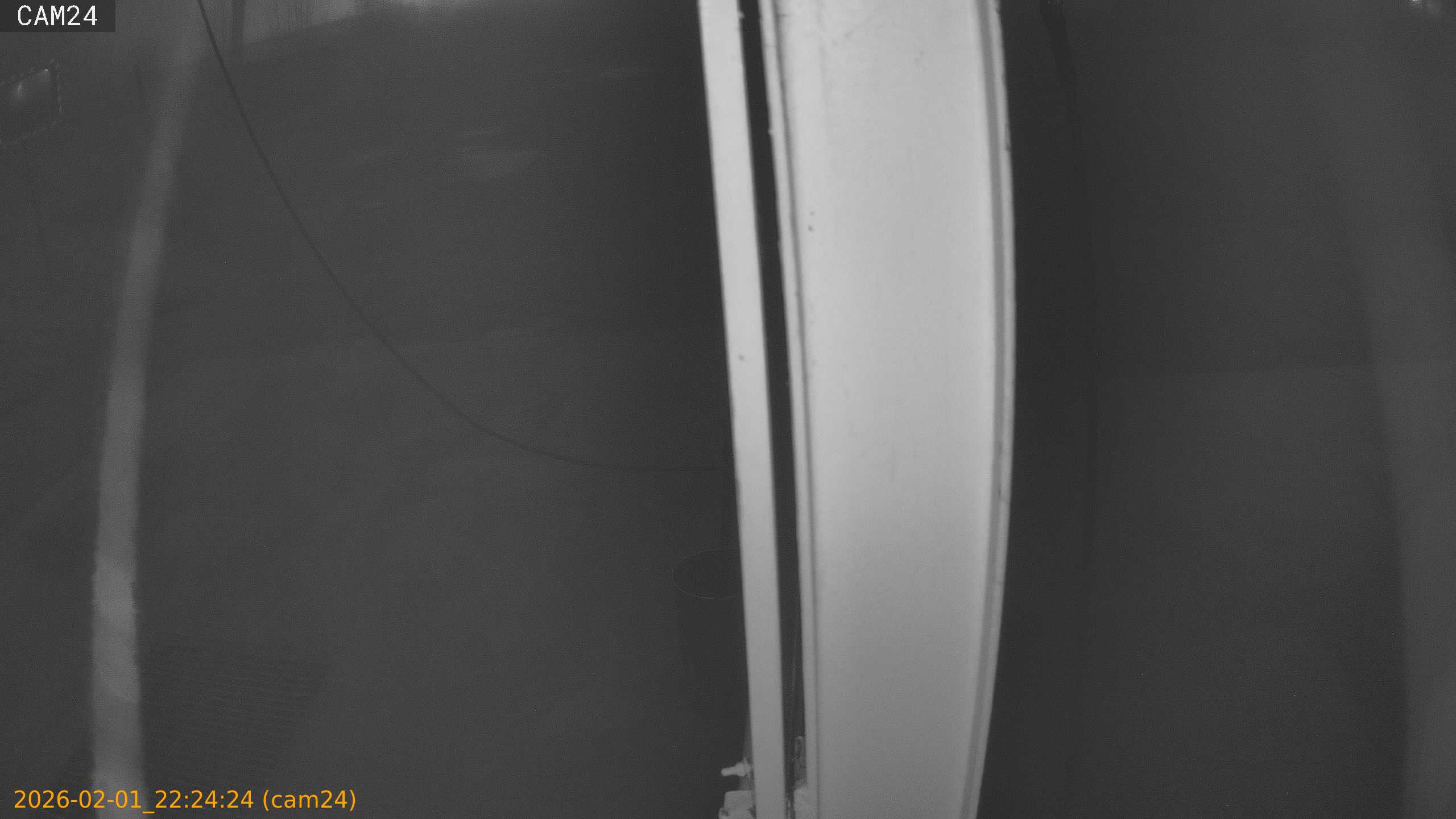 thumbnail_20260201222424