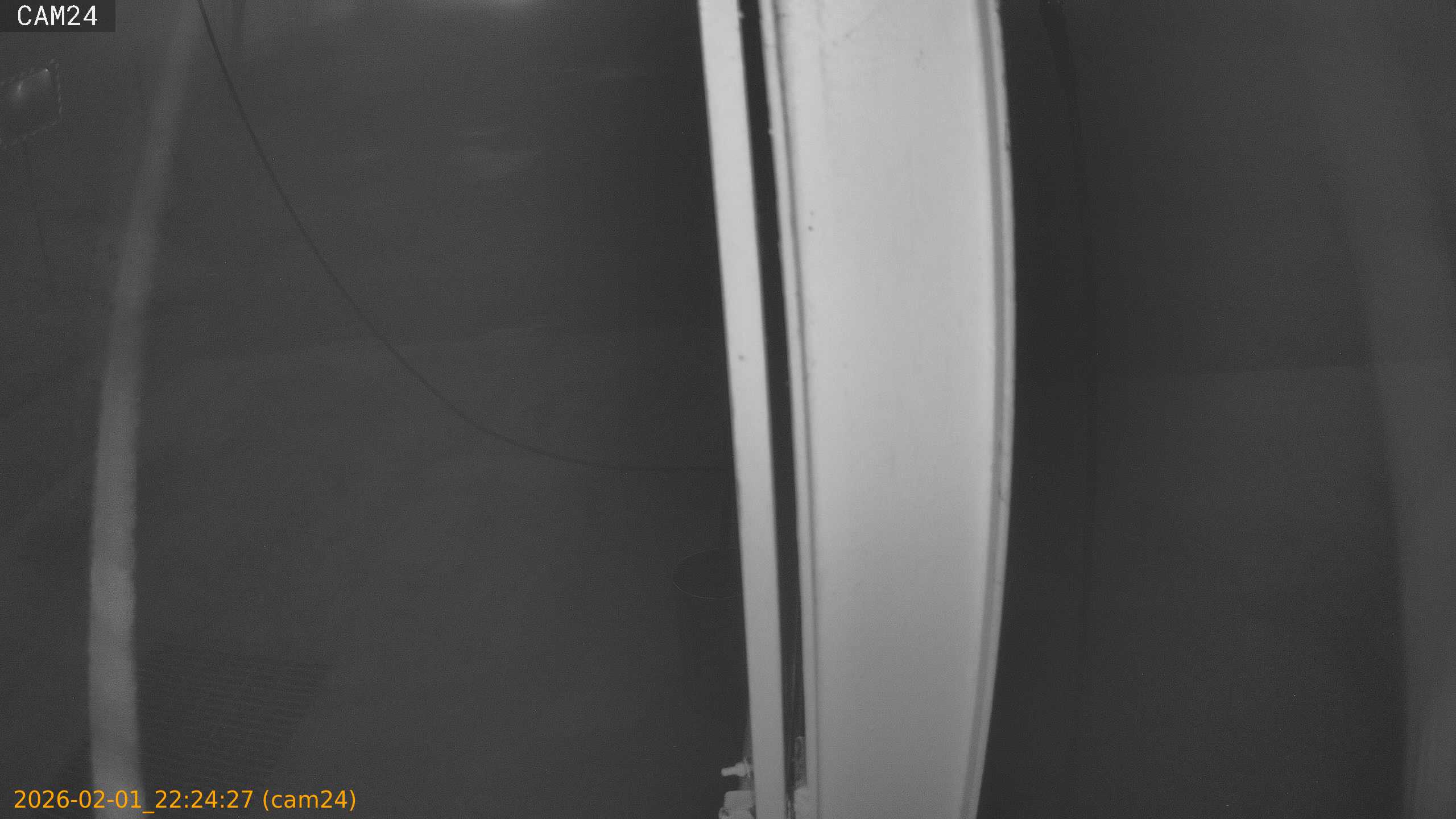 thumbnail_20260201222427