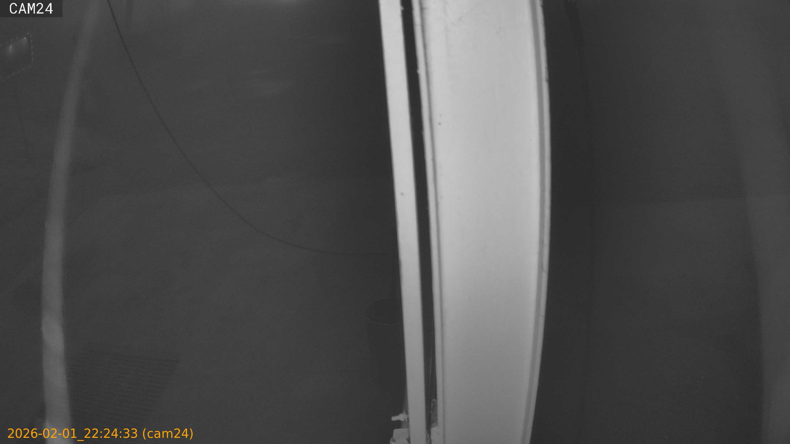 thumbnail_20260201222433