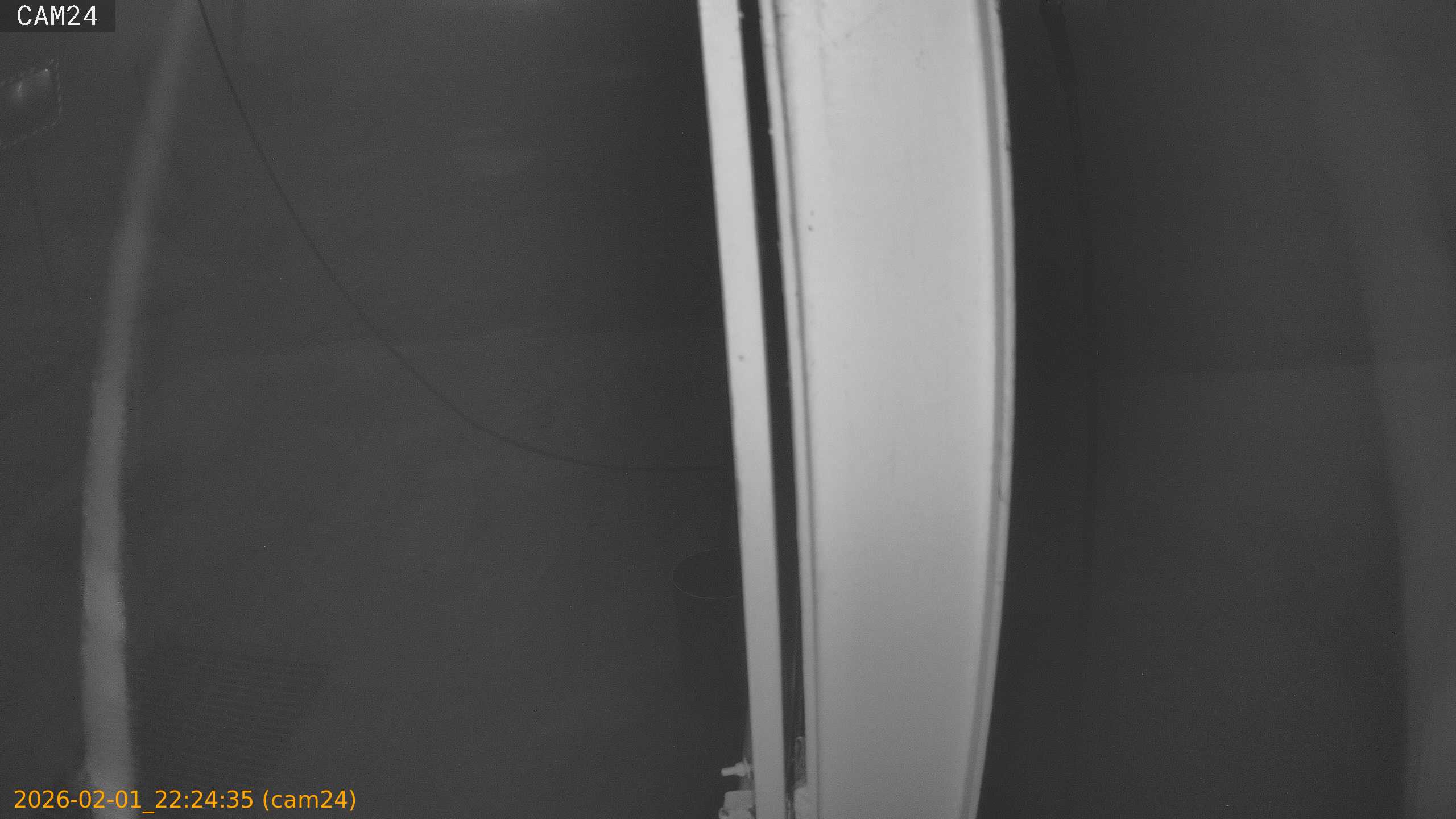 thumbnail_20260201222435