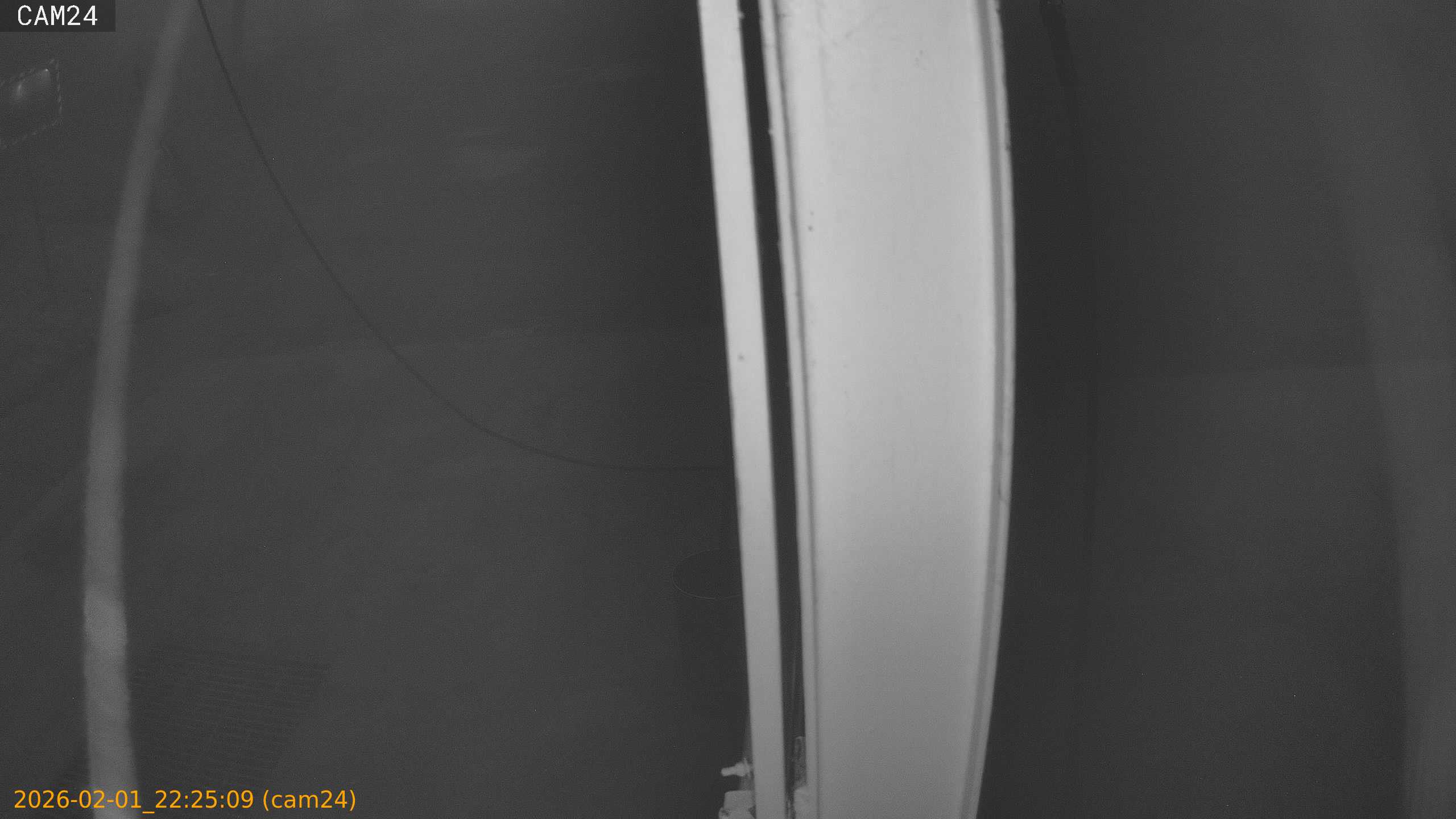 thumbnail_20260201222509