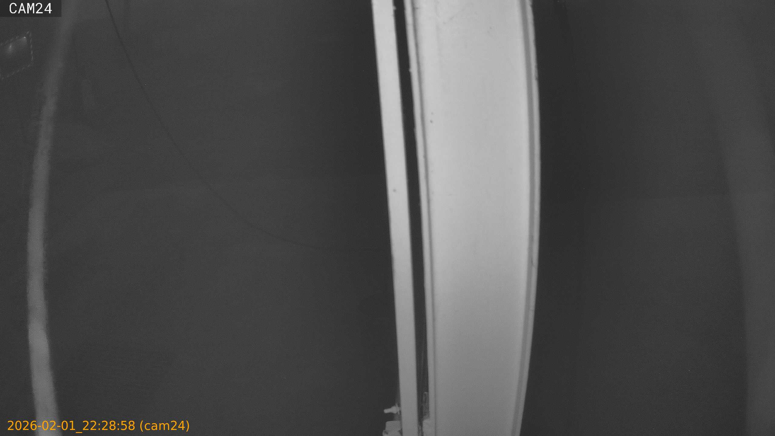 thumbnail_20260201222858