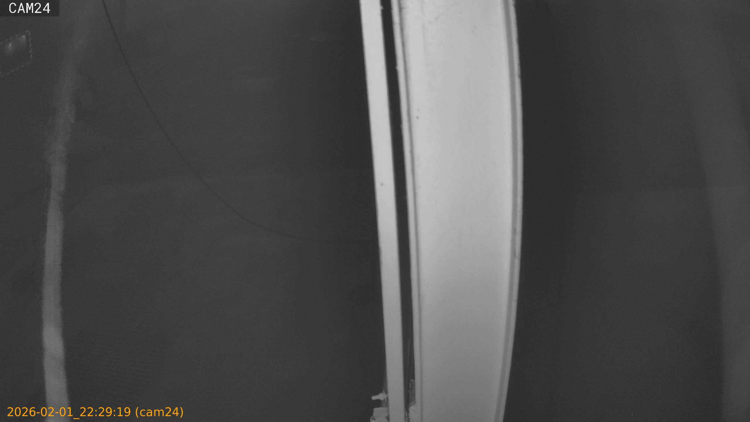 thumbnail_20260201222919