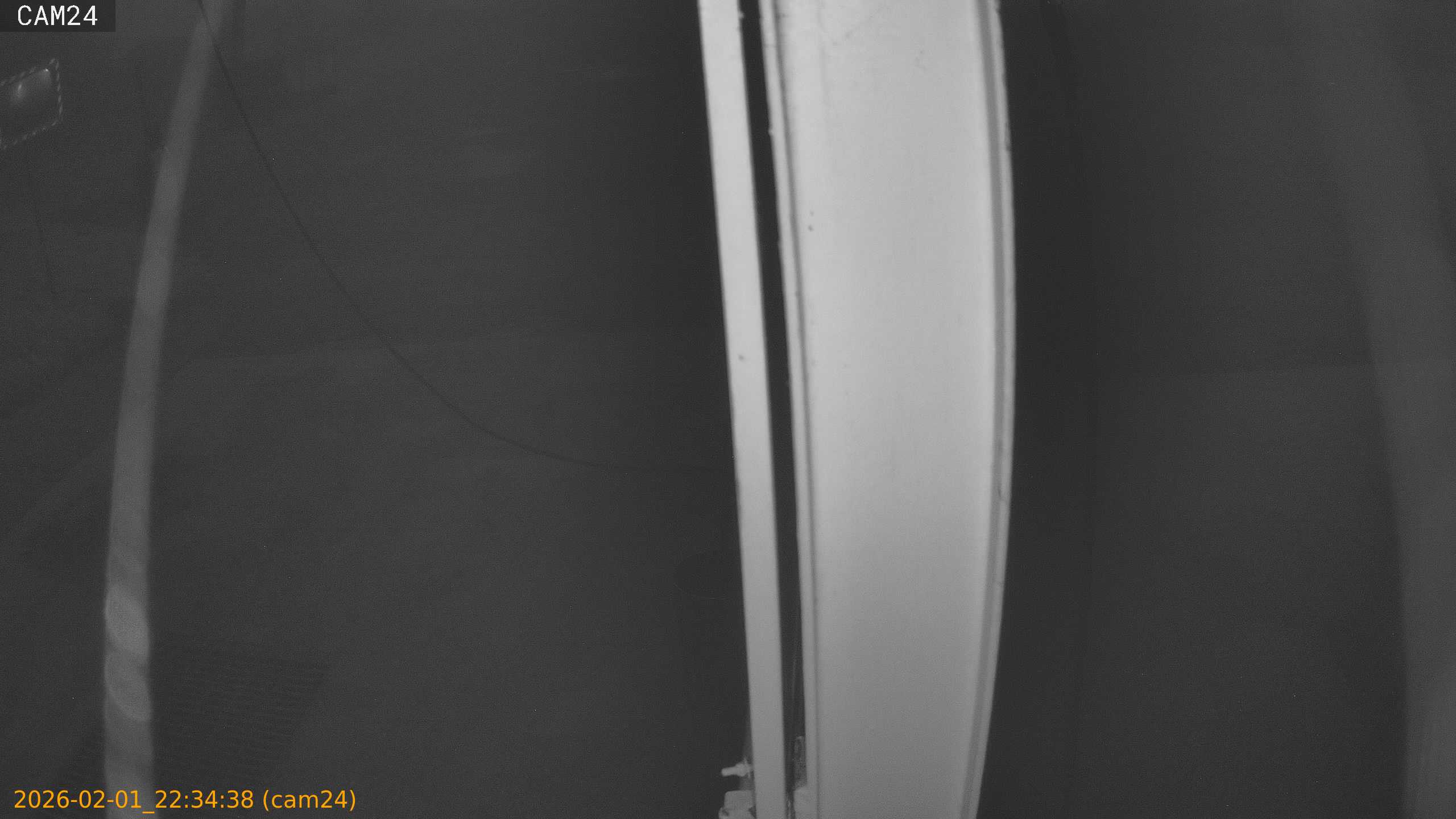 thumbnail_20260201223438