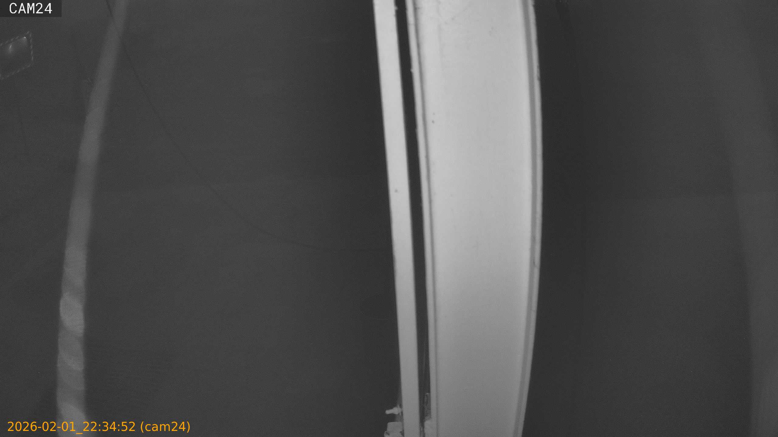 thumbnail_20260201223452