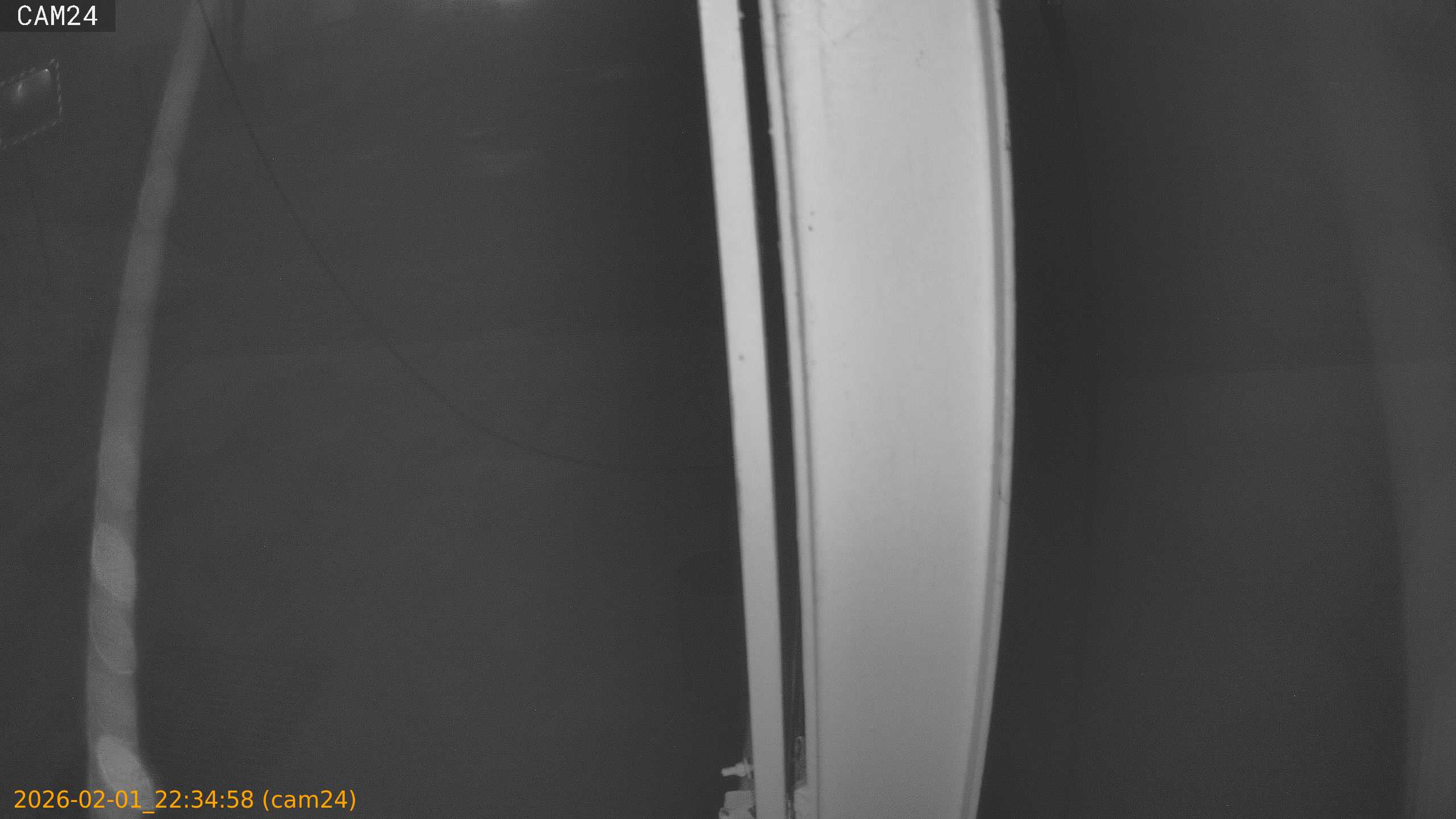 thumbnail_20260201223458