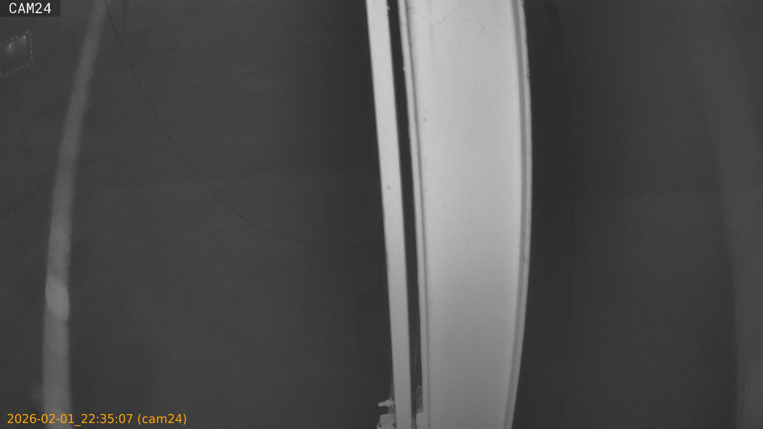 thumbnail_20260201223507