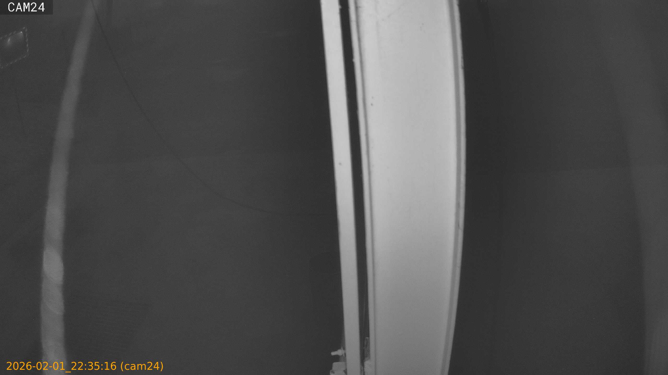 thumbnail_20260201223516