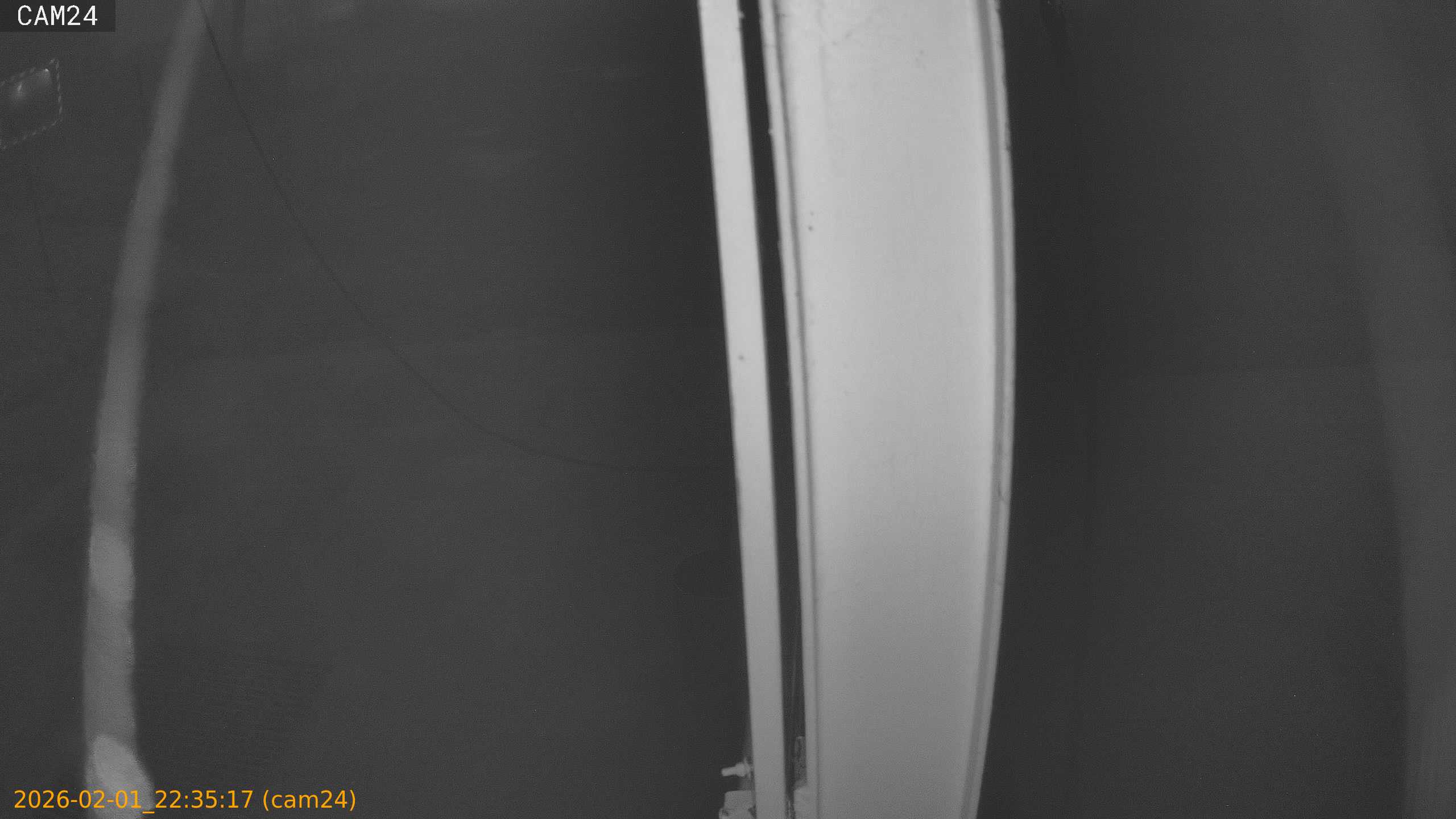 thumbnail_20260201223517