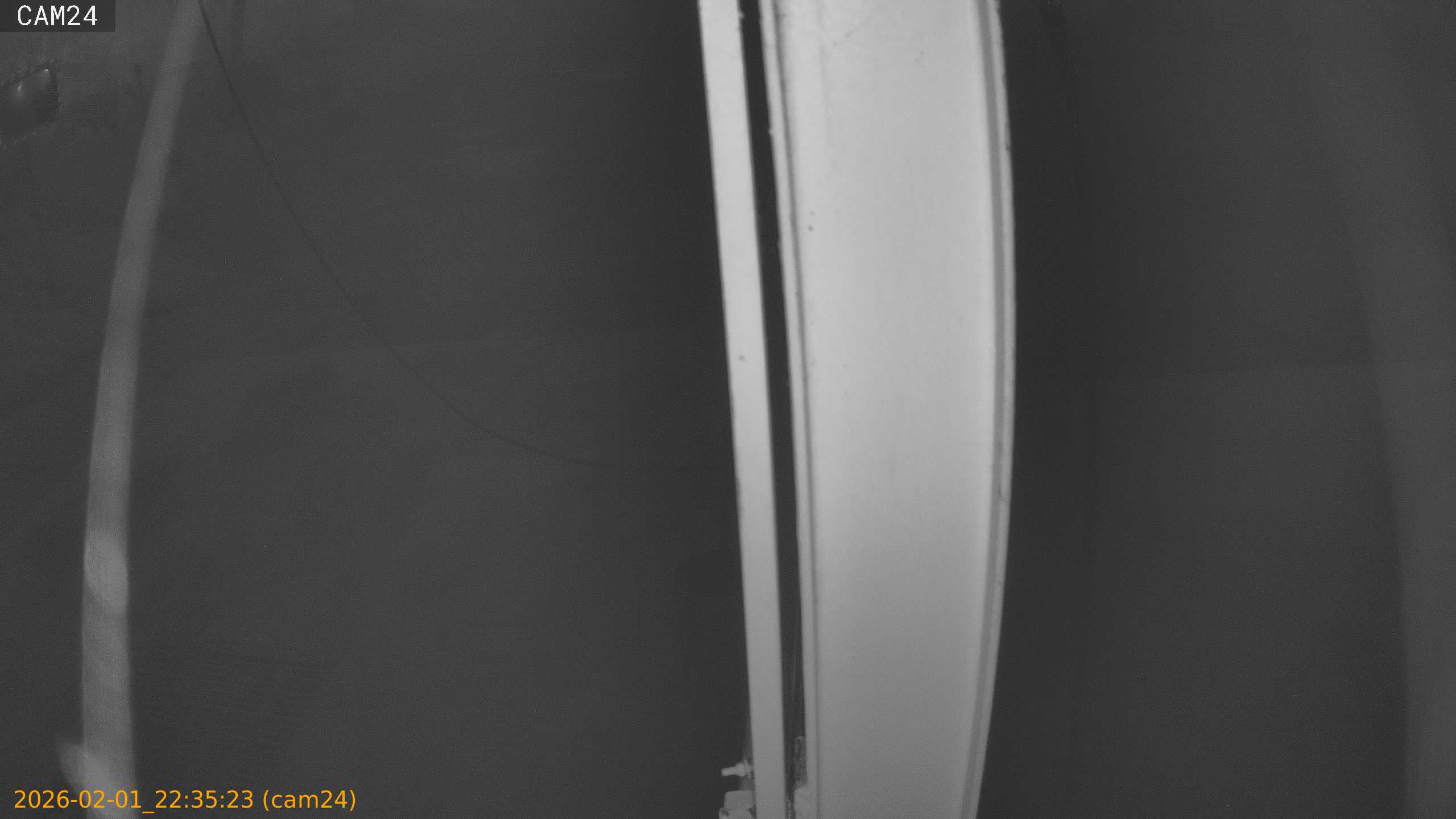 thumbnail_20260201223523