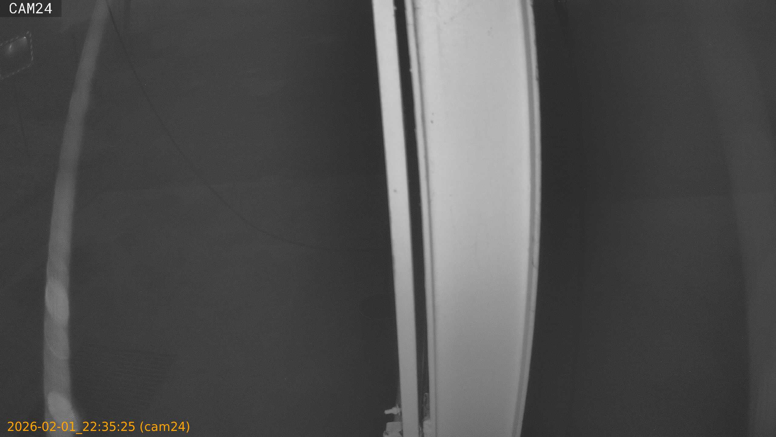 thumbnail_20260201223525