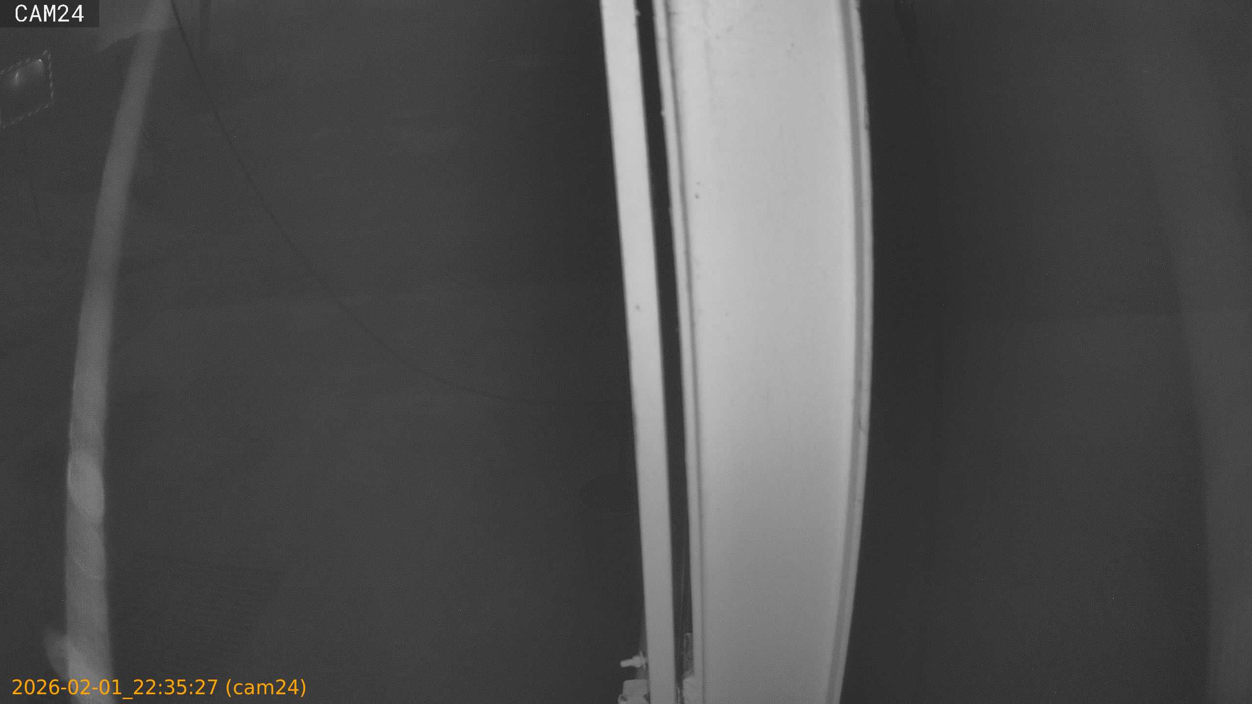 thumbnail_20260201223527