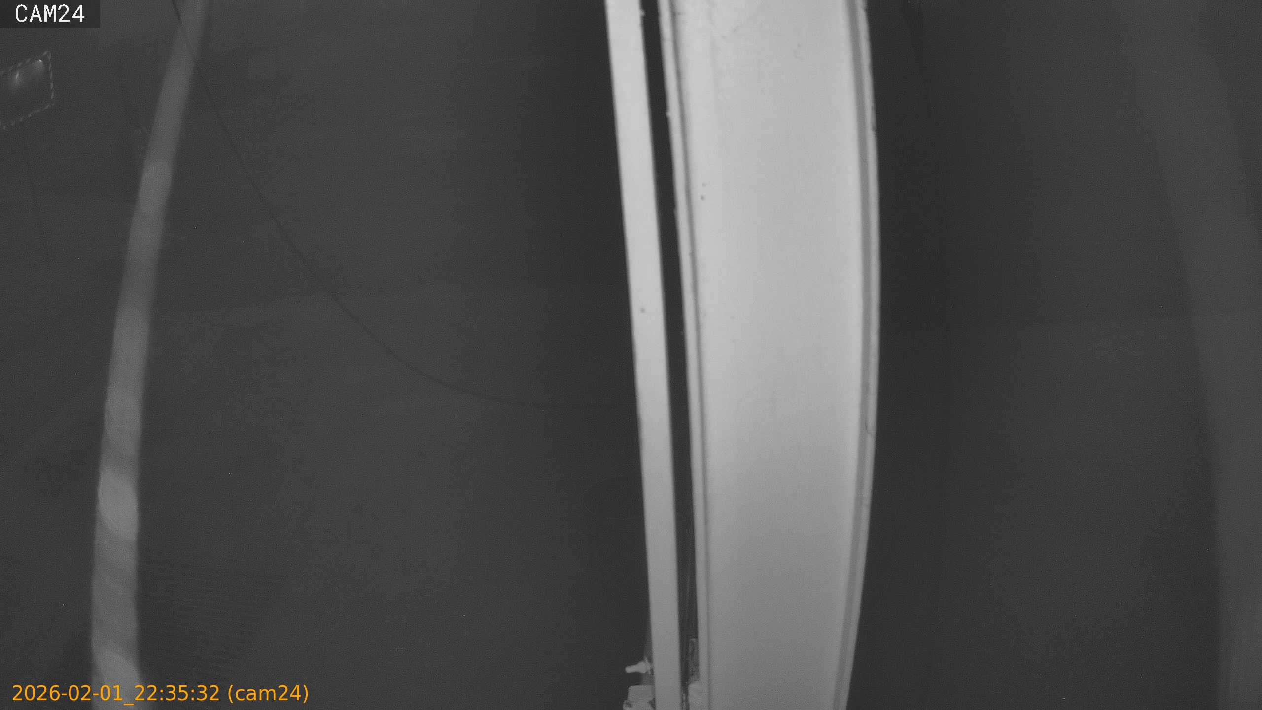 thumbnail_20260201223532