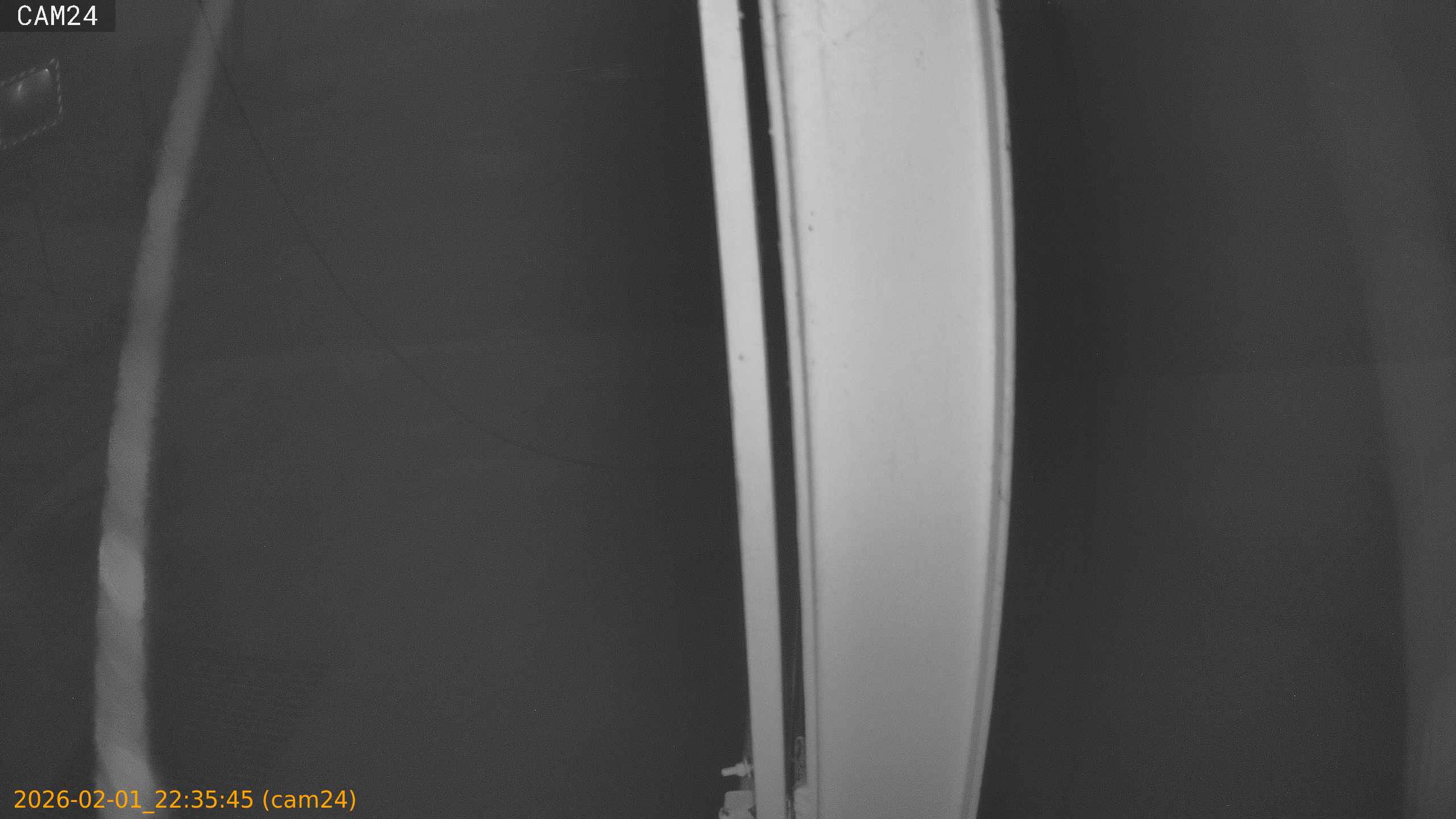 thumbnail_20260201223545