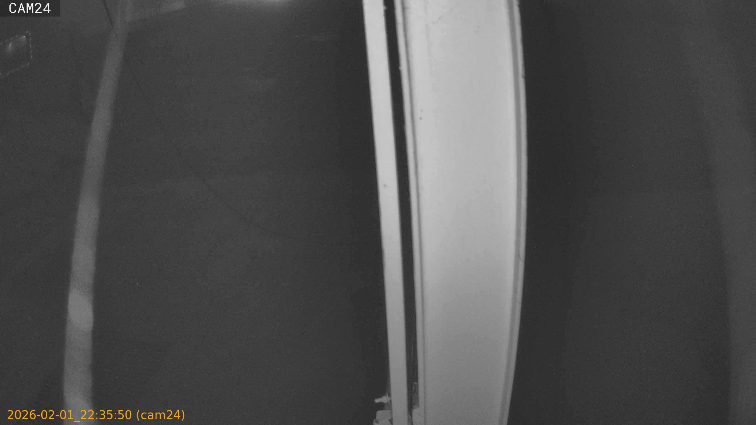 thumbnail_20260201223550