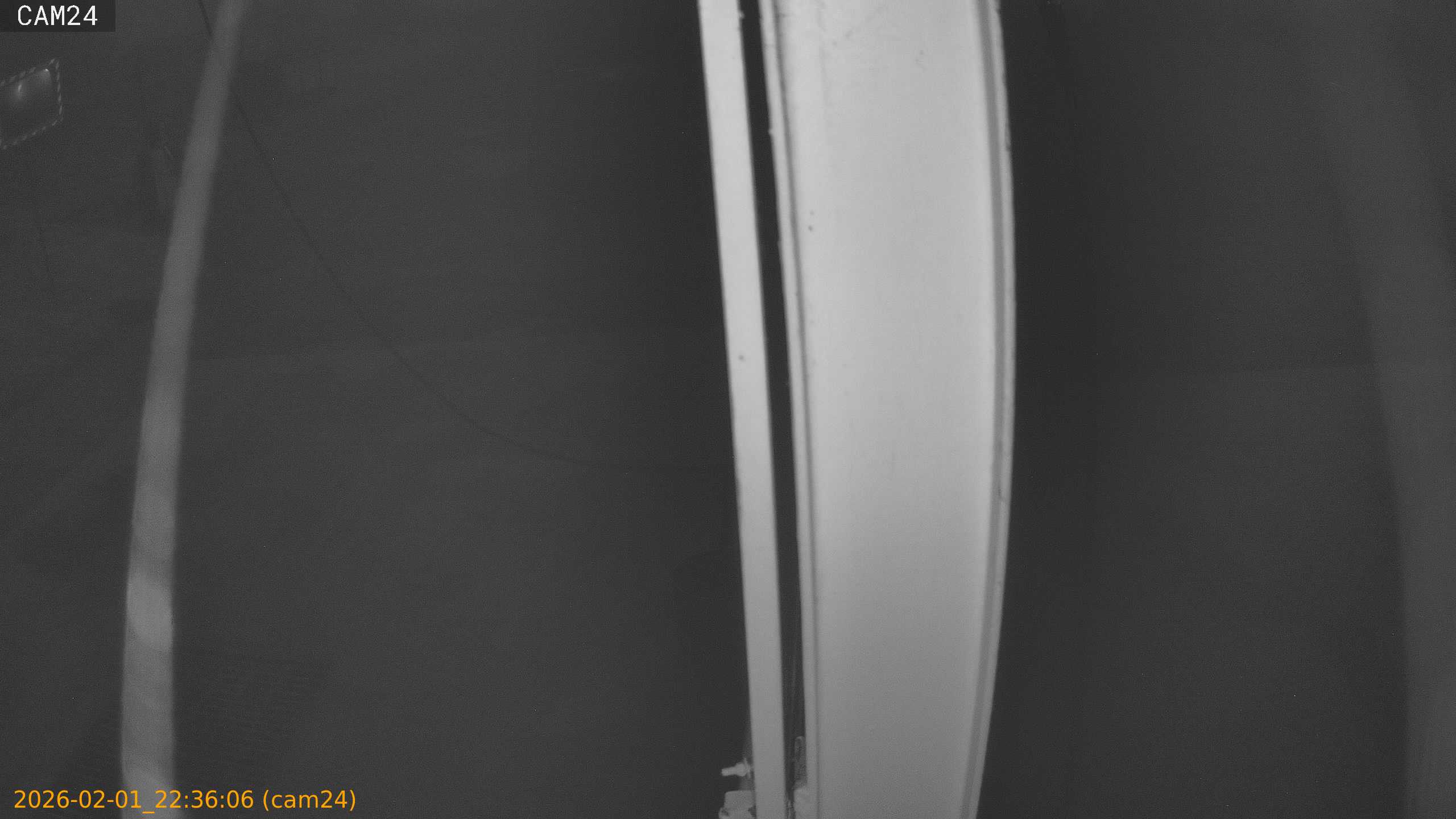 thumbnail_20260201223606