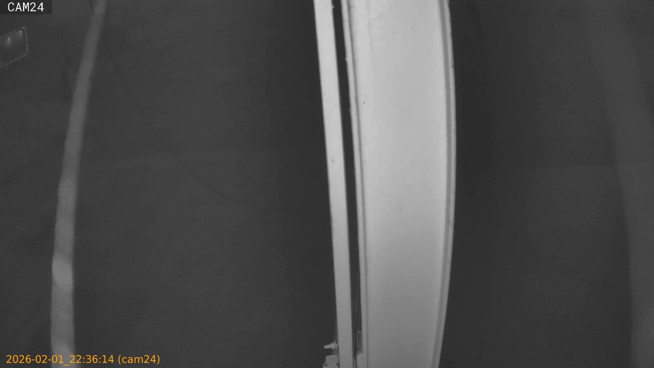 thumbnail_20260201223614