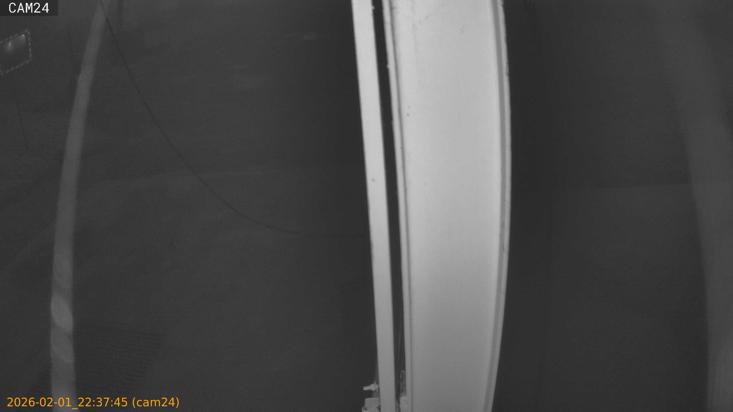 thumbnail_20260201223745