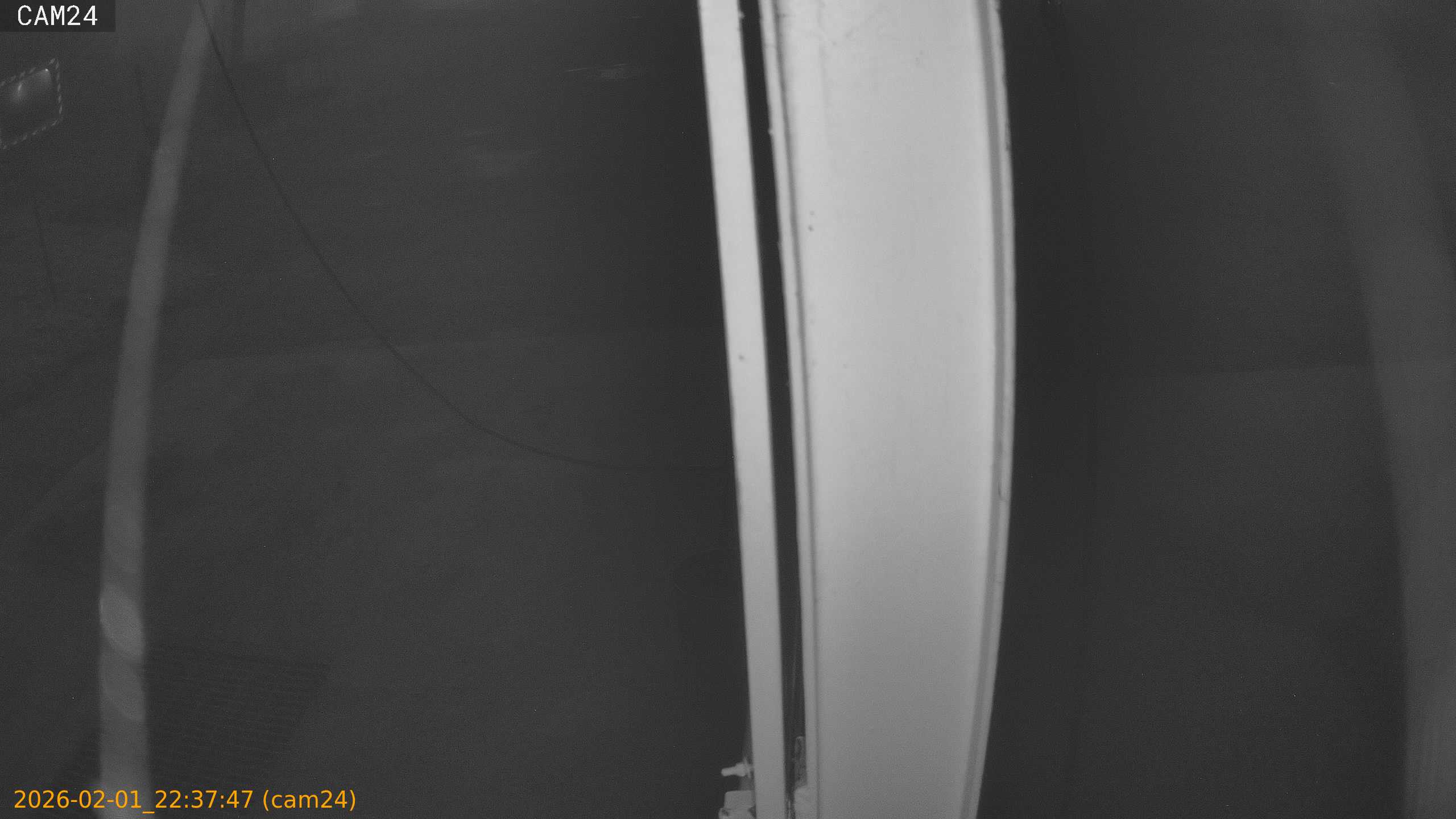 thumbnail_20260201223747