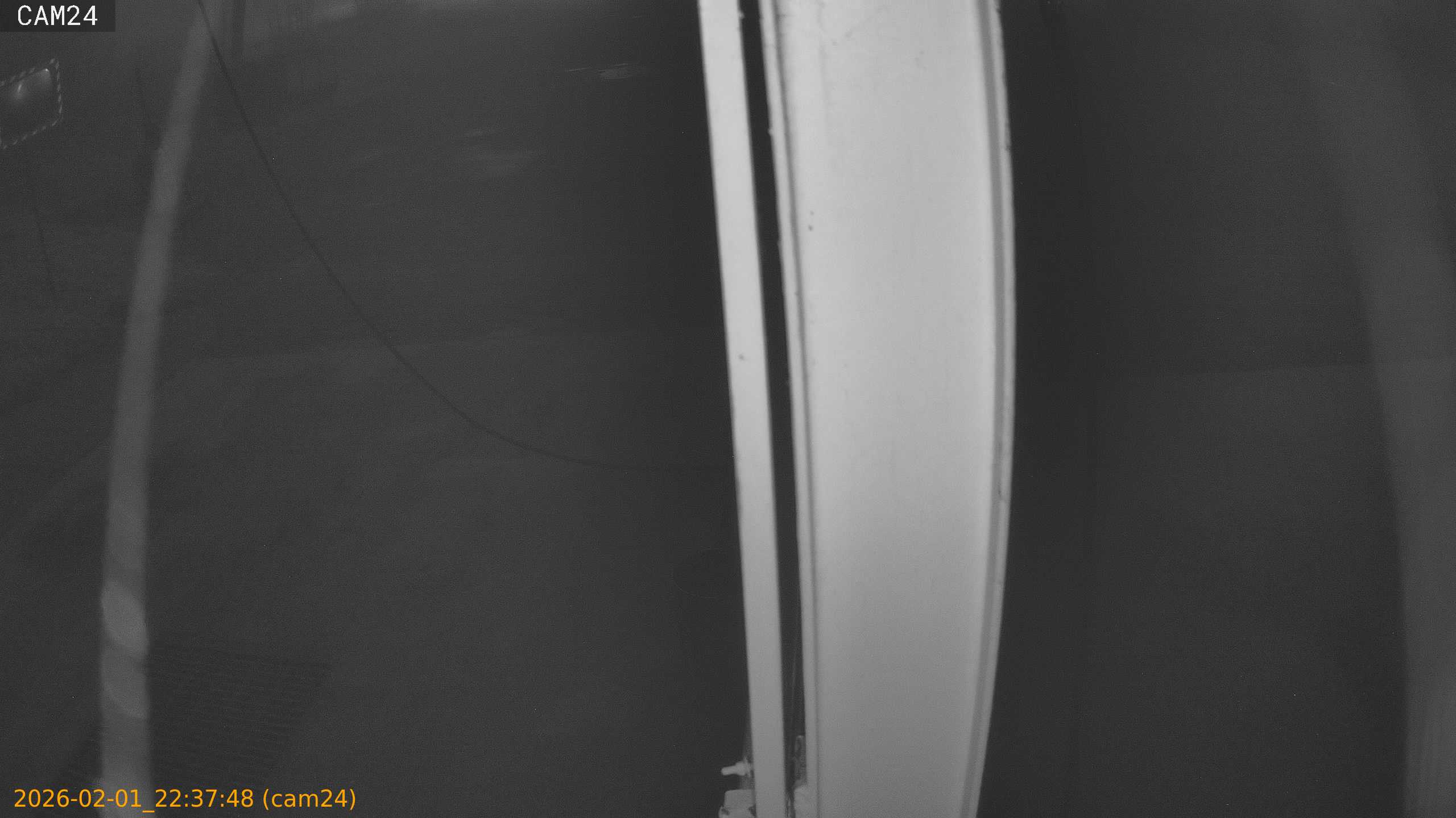 thumbnail_20260201223748