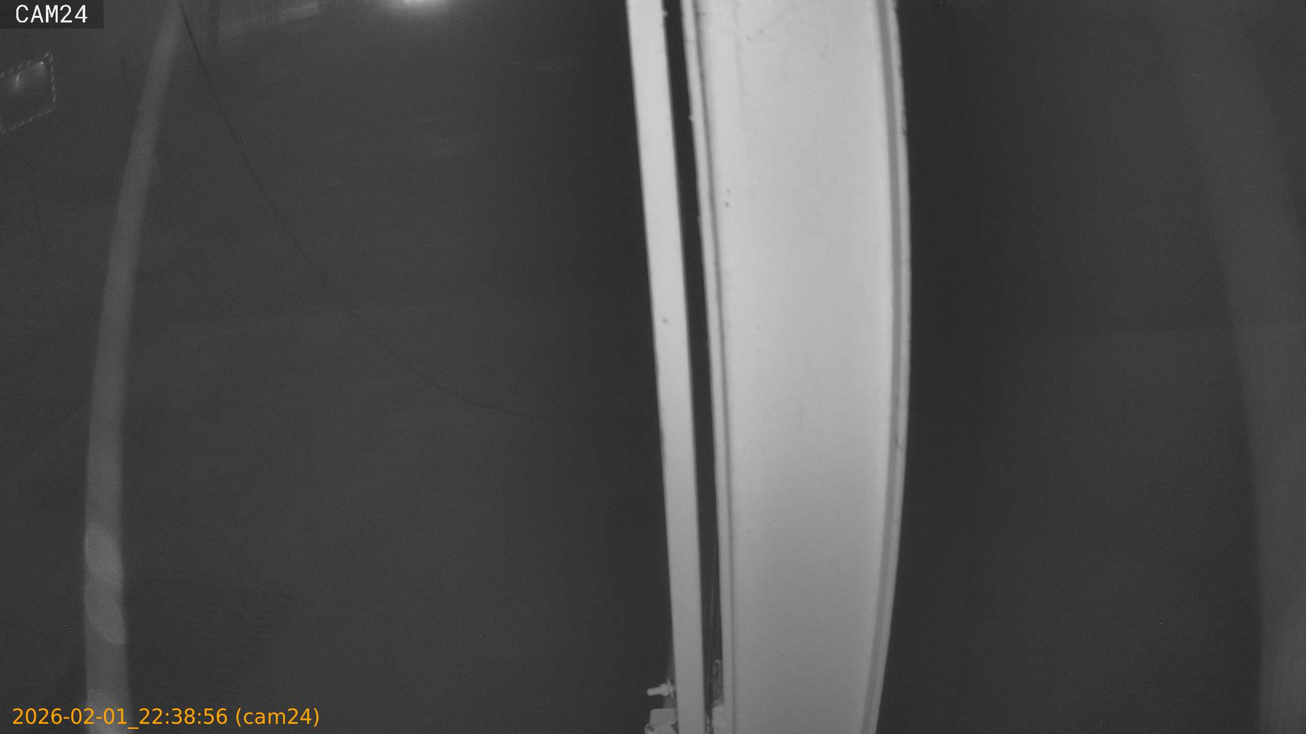 thumbnail_20260201223856