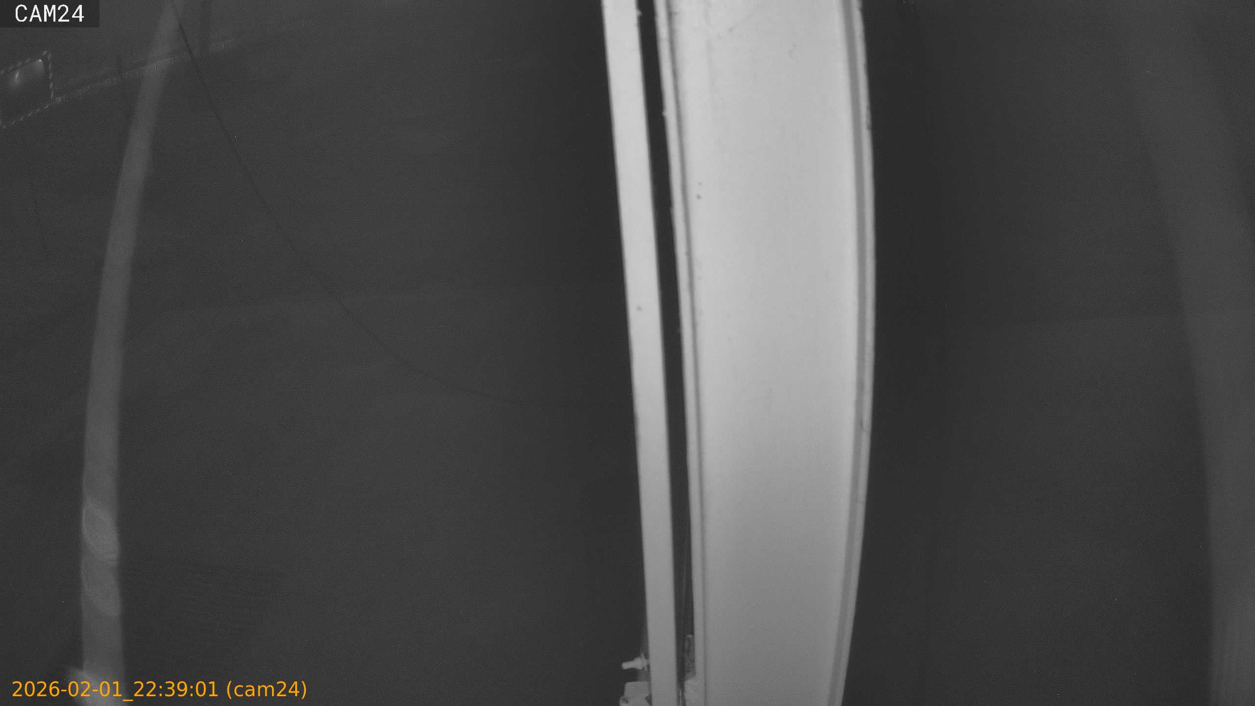 thumbnail_20260201223901