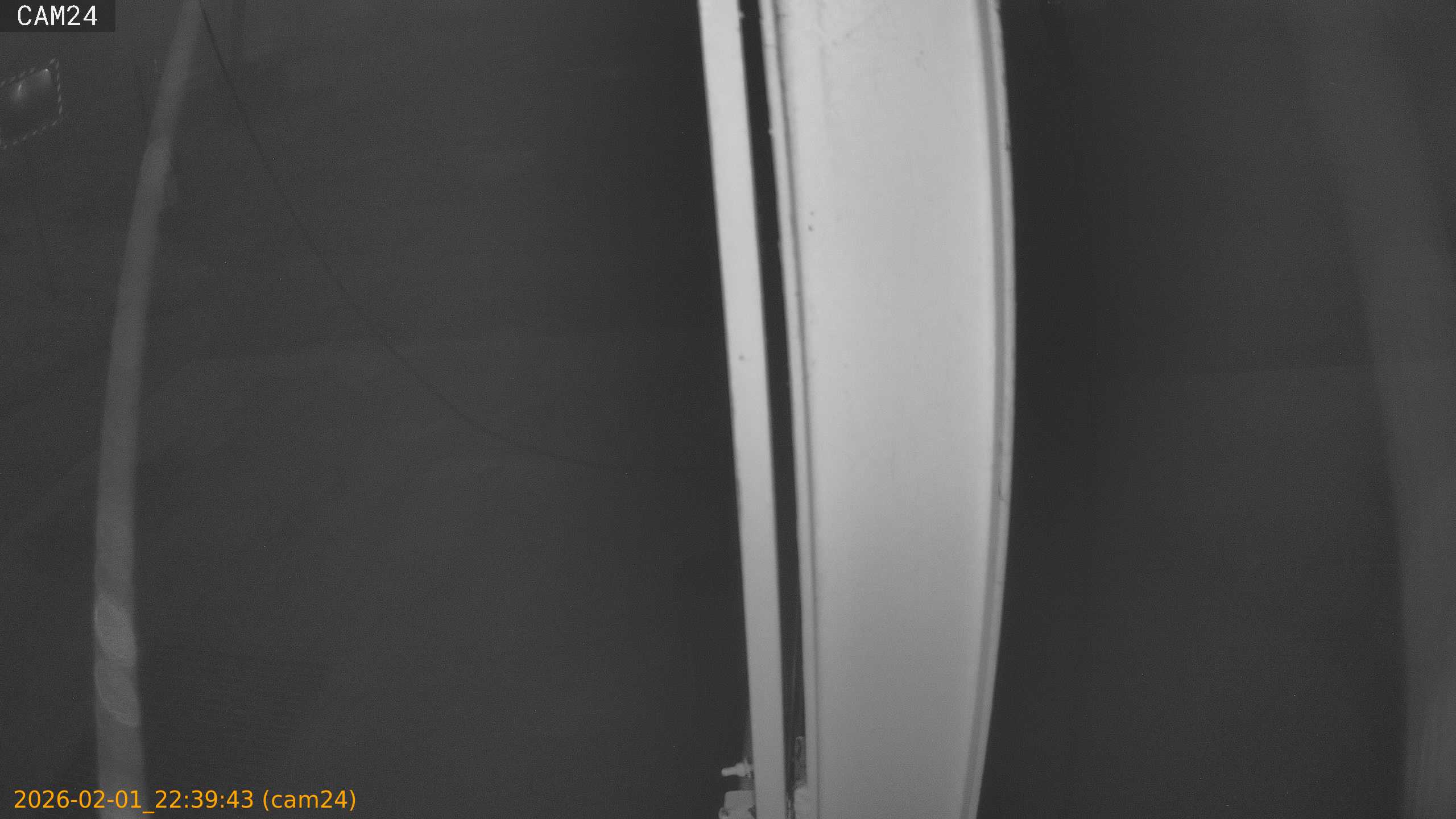 thumbnail_20260201223943