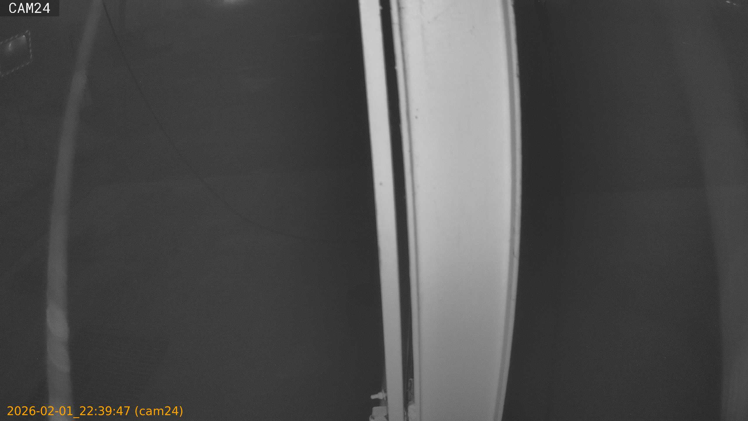 thumbnail_20260201223947