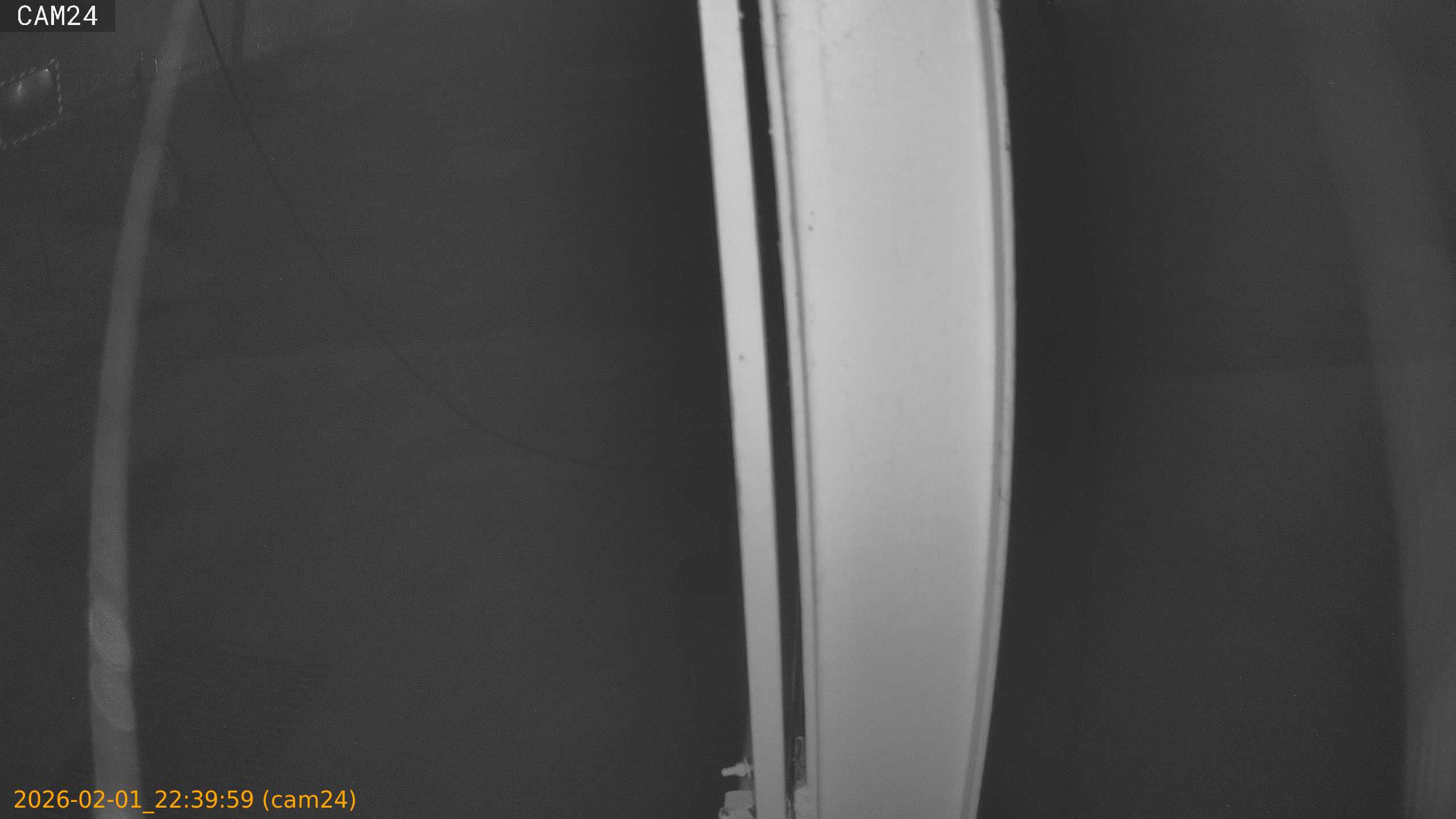 thumbnail_20260201223959