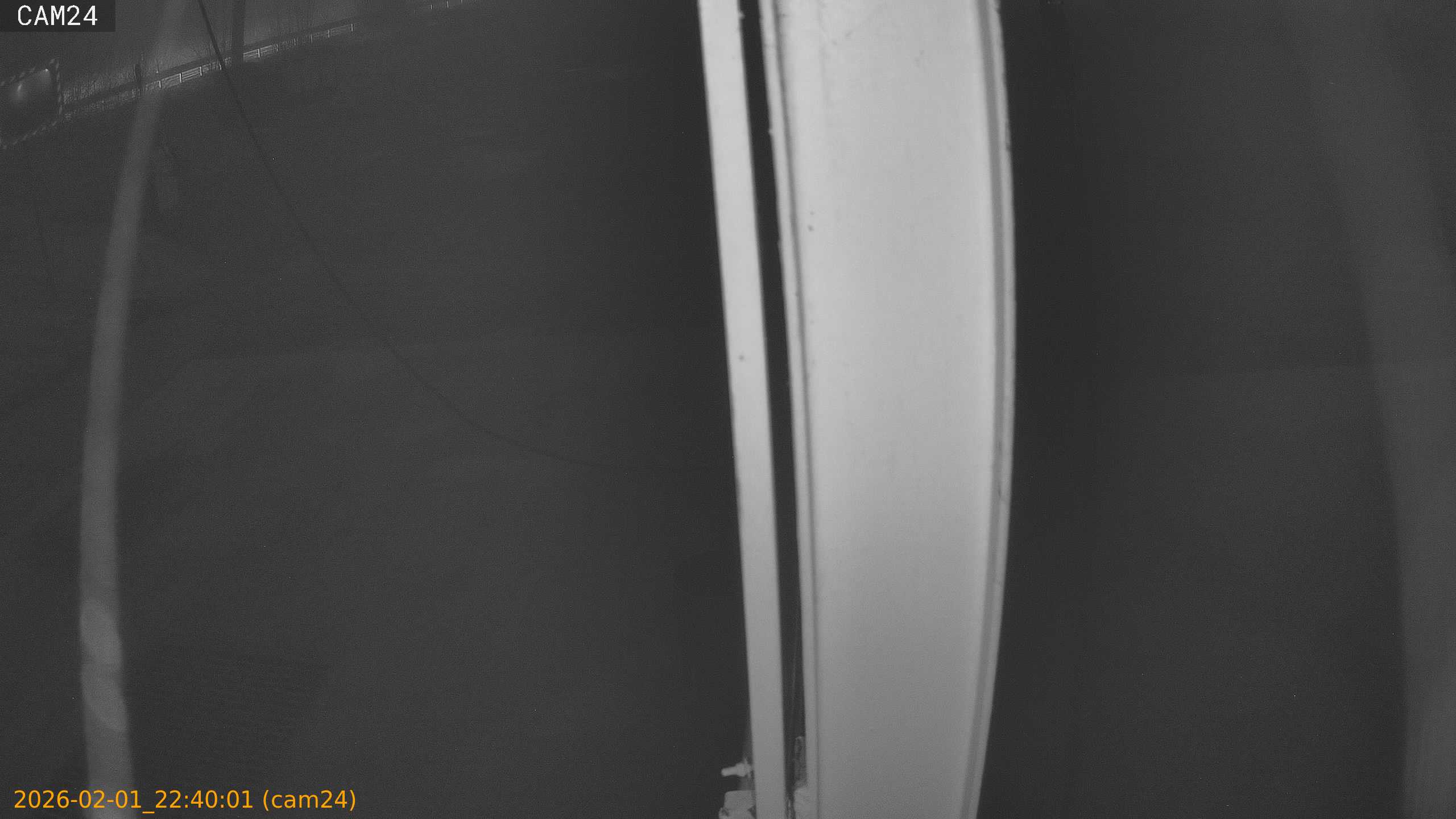 thumbnail_20260201224001