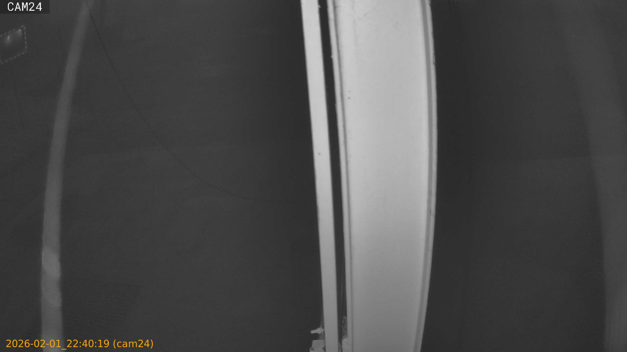 thumbnail_20260201224019