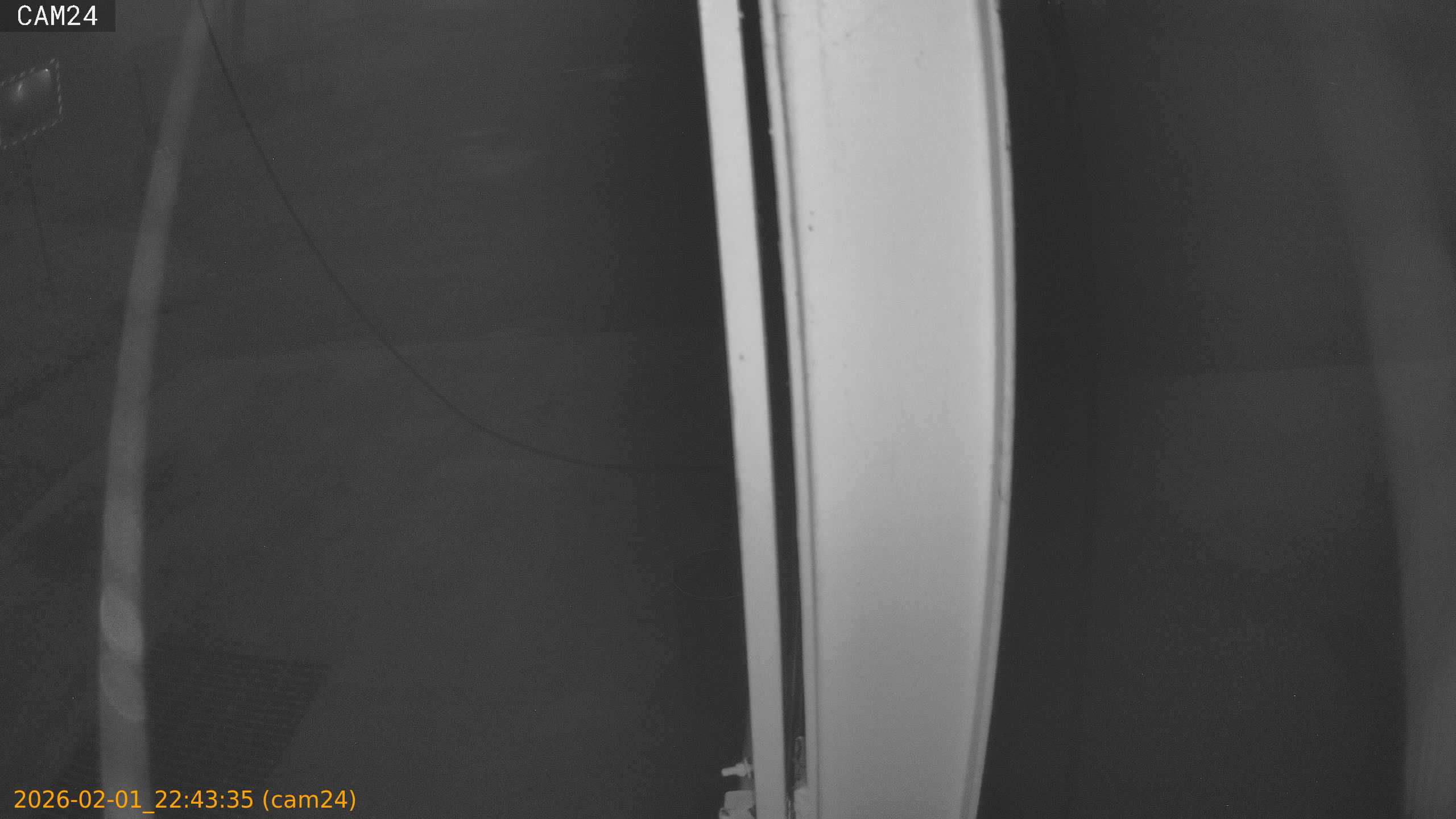 thumbnail_20260201224335