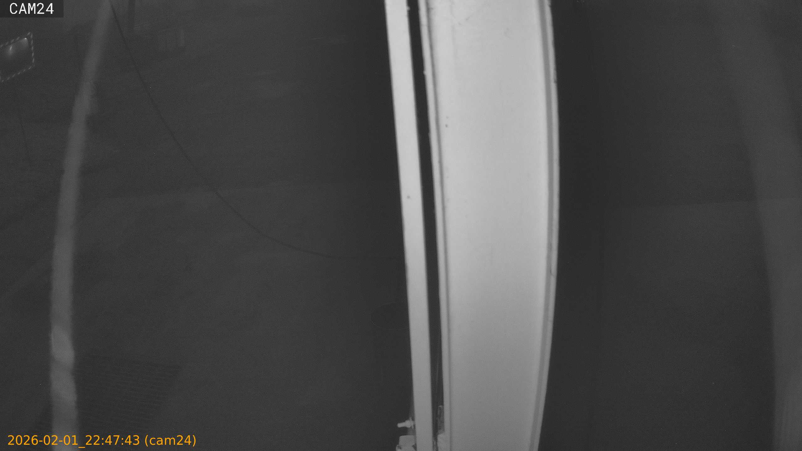 thumbnail_20260201224743