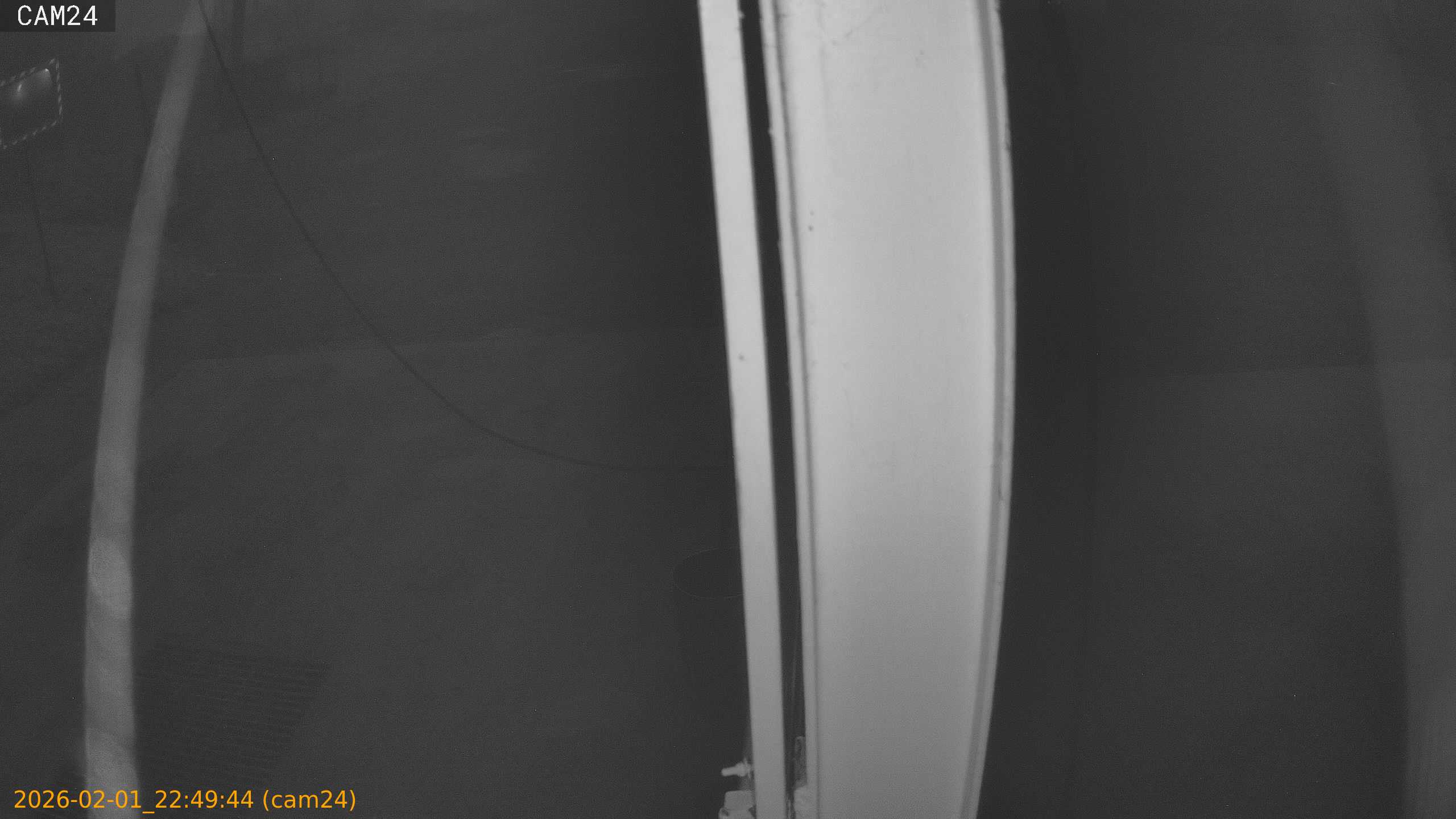 thumbnail_20260201224944