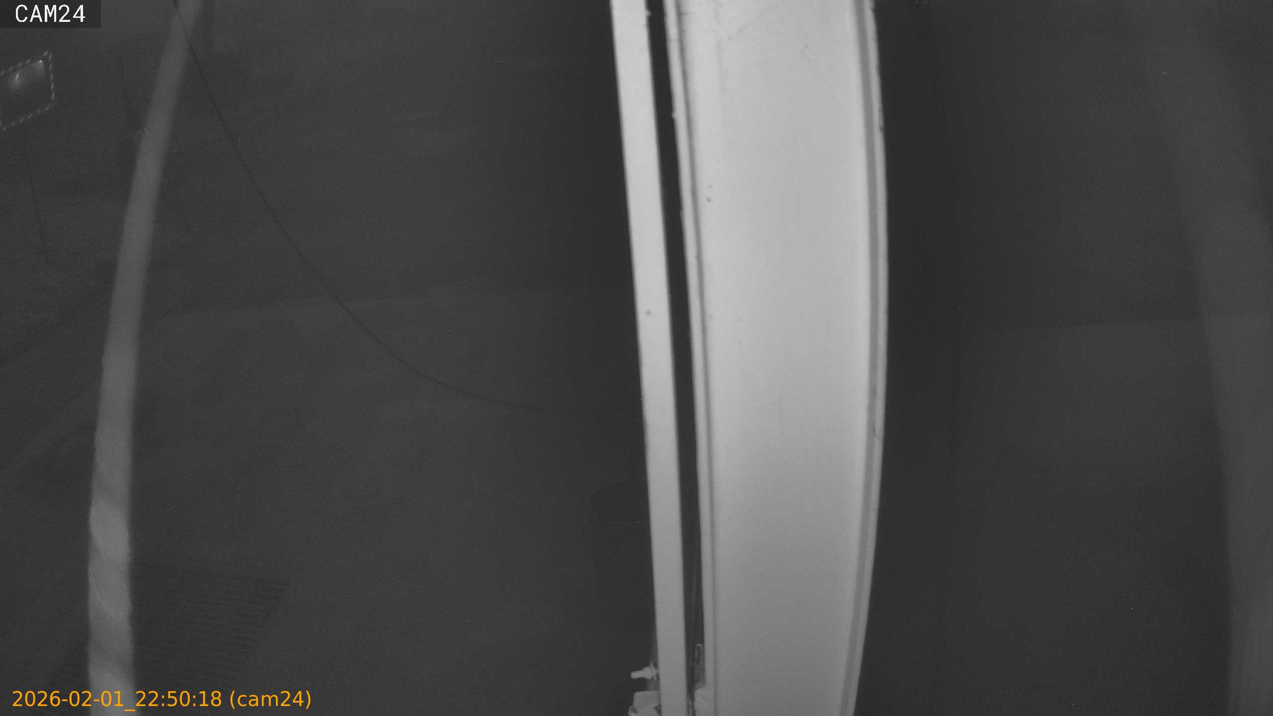 thumbnail_20260201225018