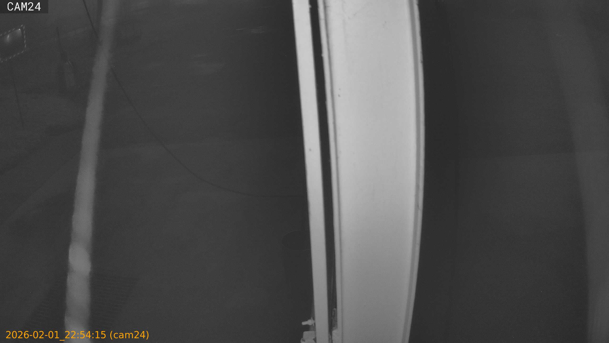 thumbnail_20260201225415