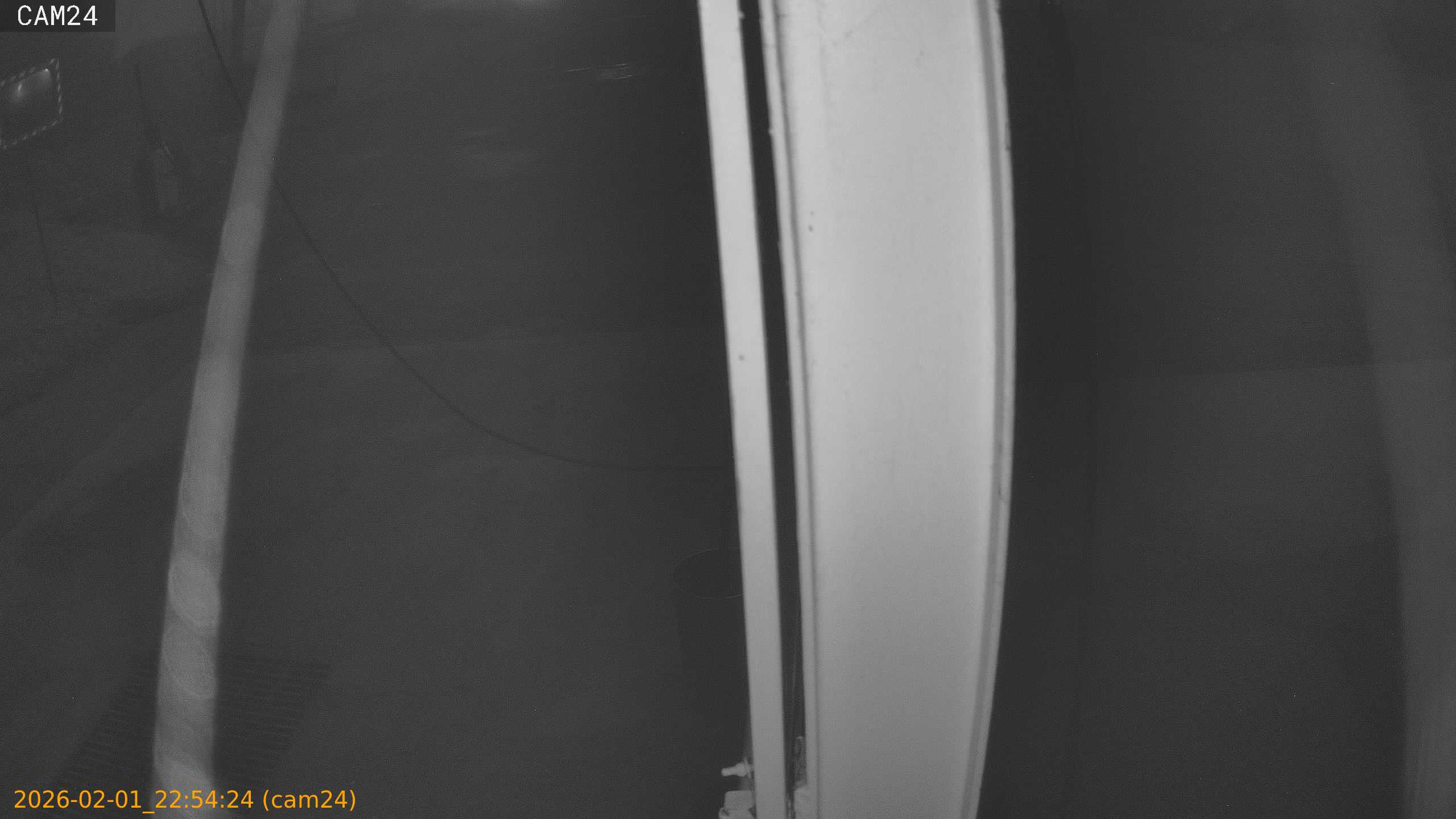 thumbnail_20260201225424