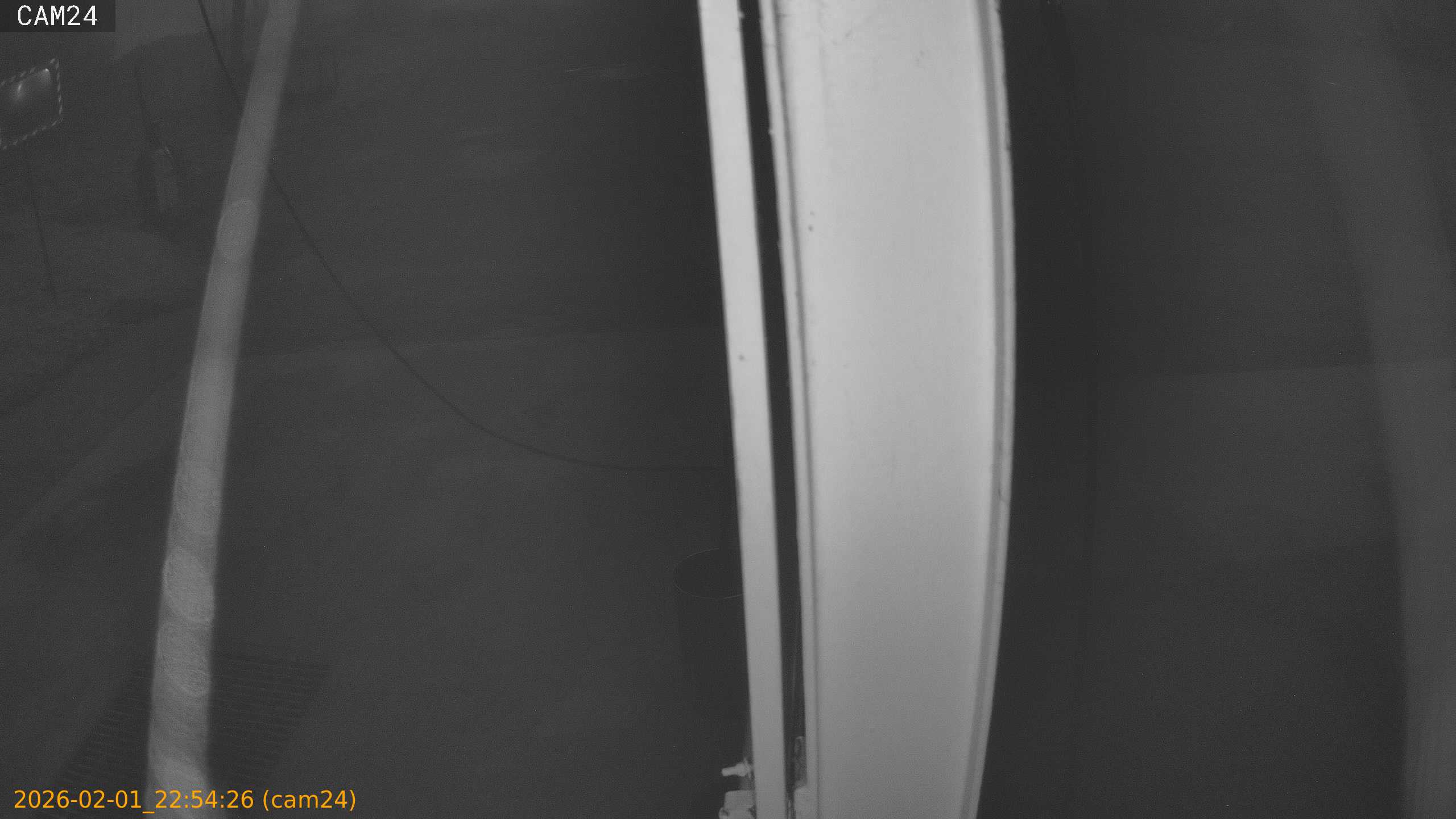 thumbnail_20260201225426