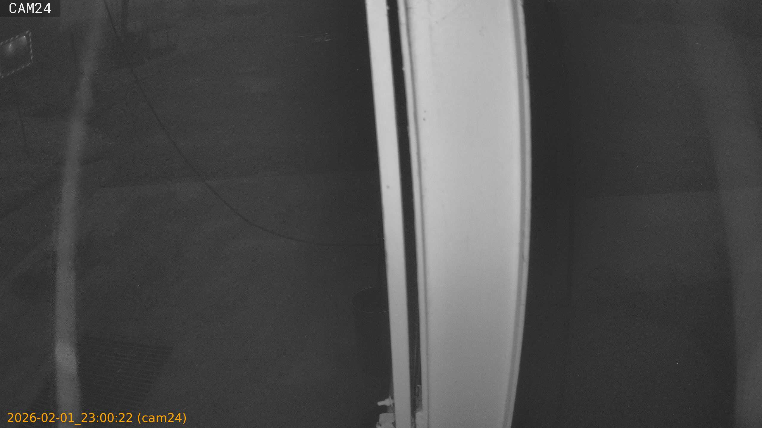 thumbnail_20260201230022