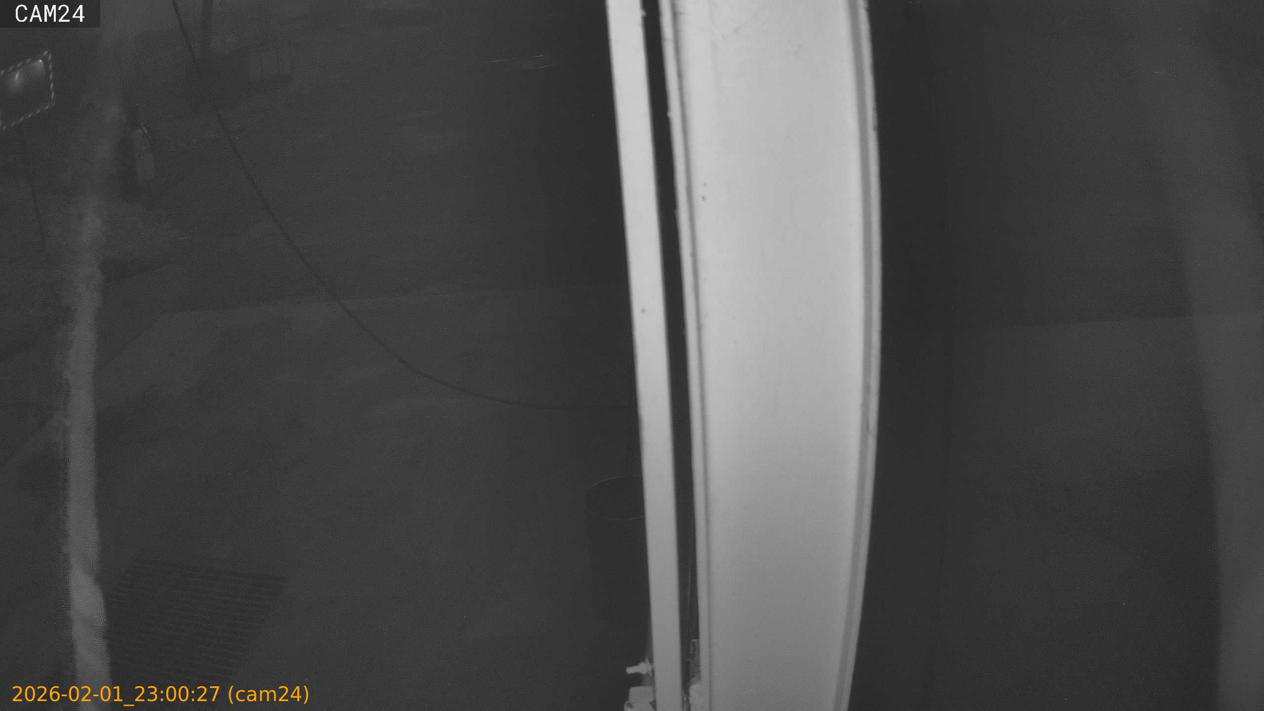 thumbnail_20260201230027