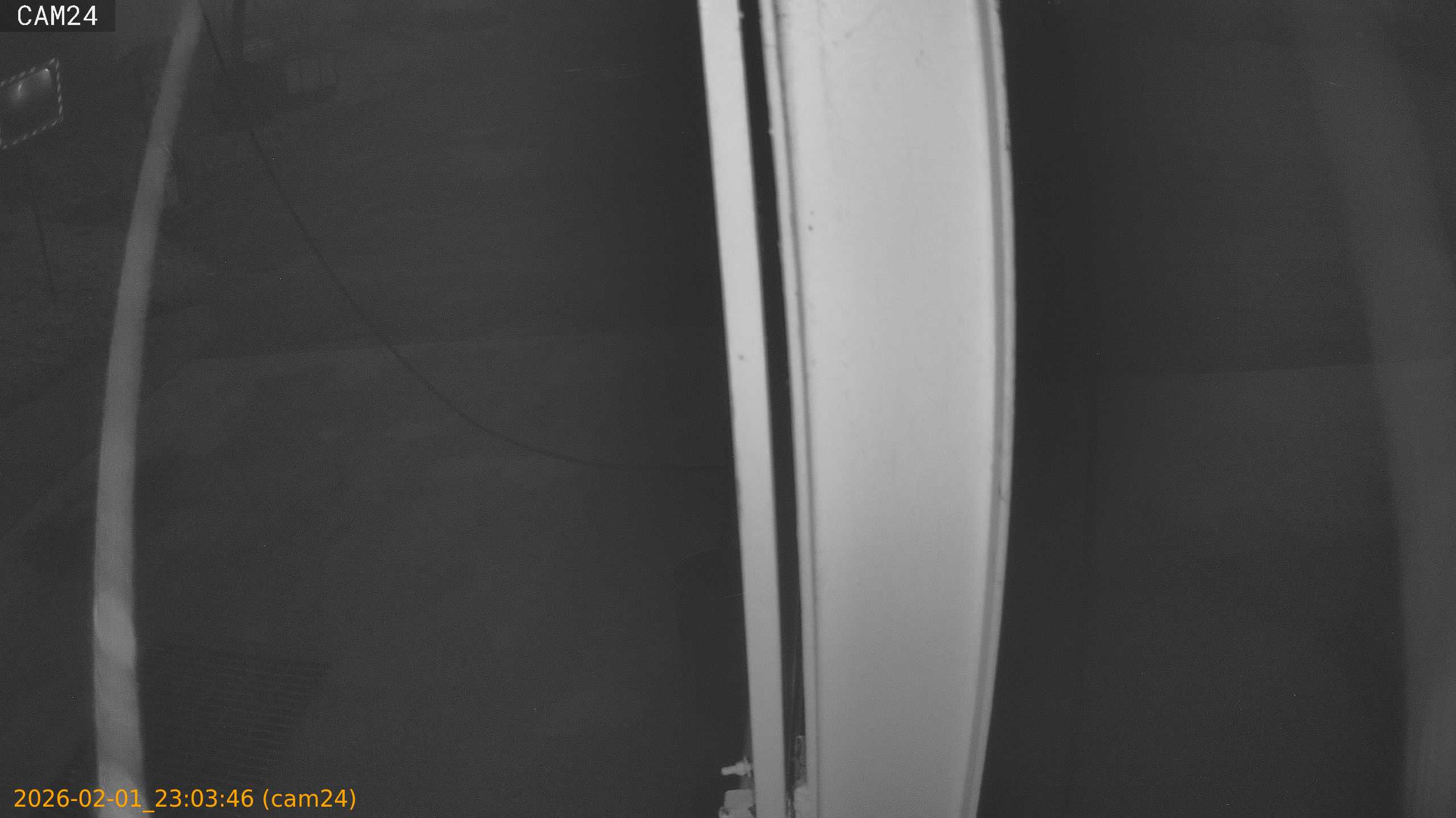 thumbnail_20260201230346