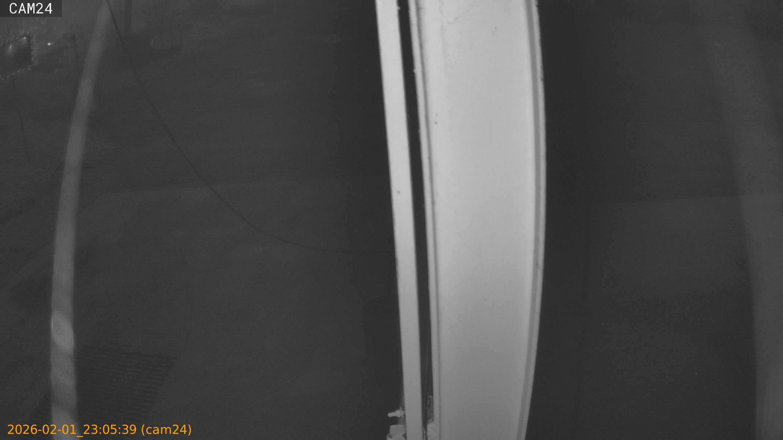 thumbnail_20260201230539