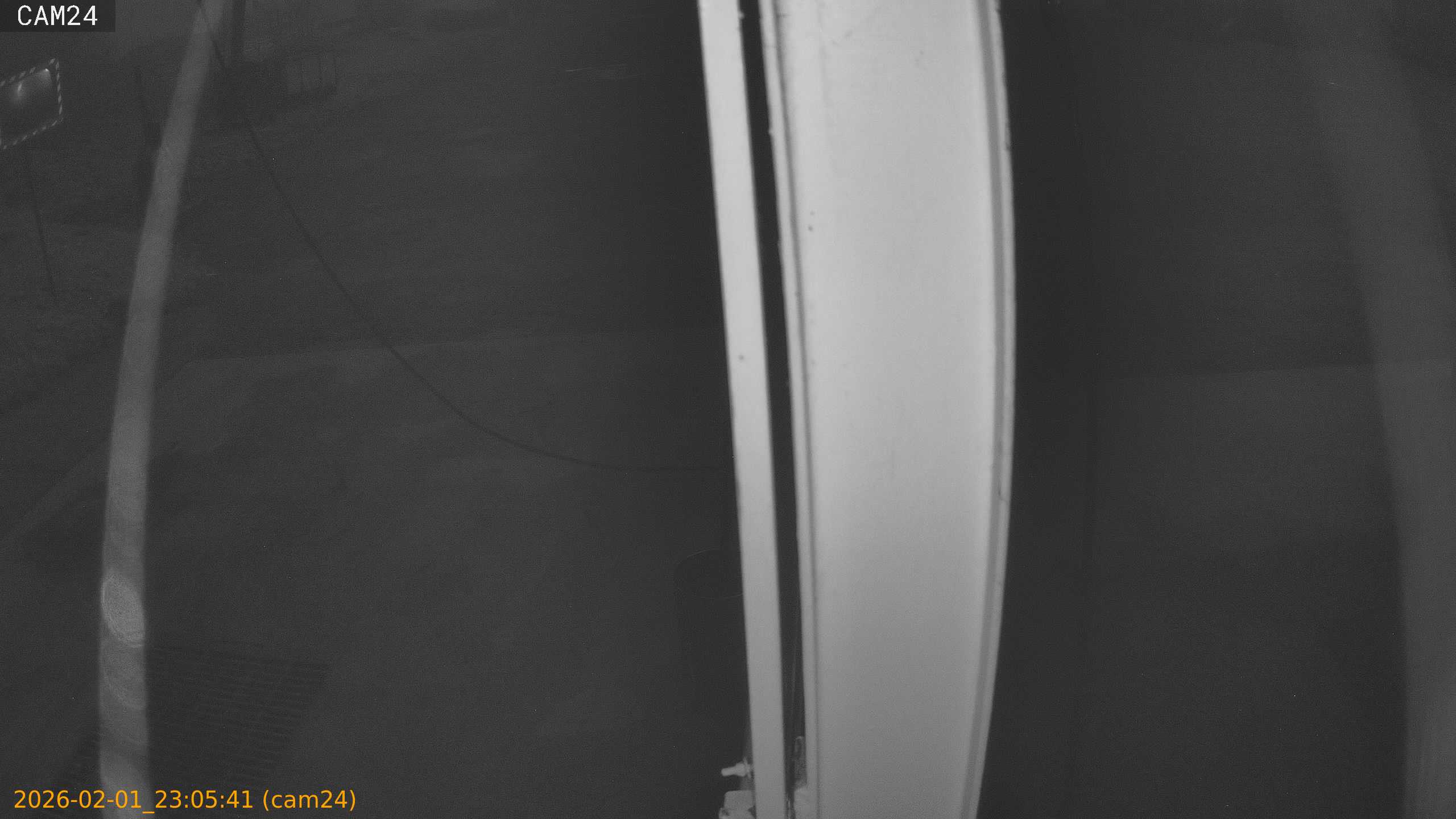 thumbnail_20260201230541