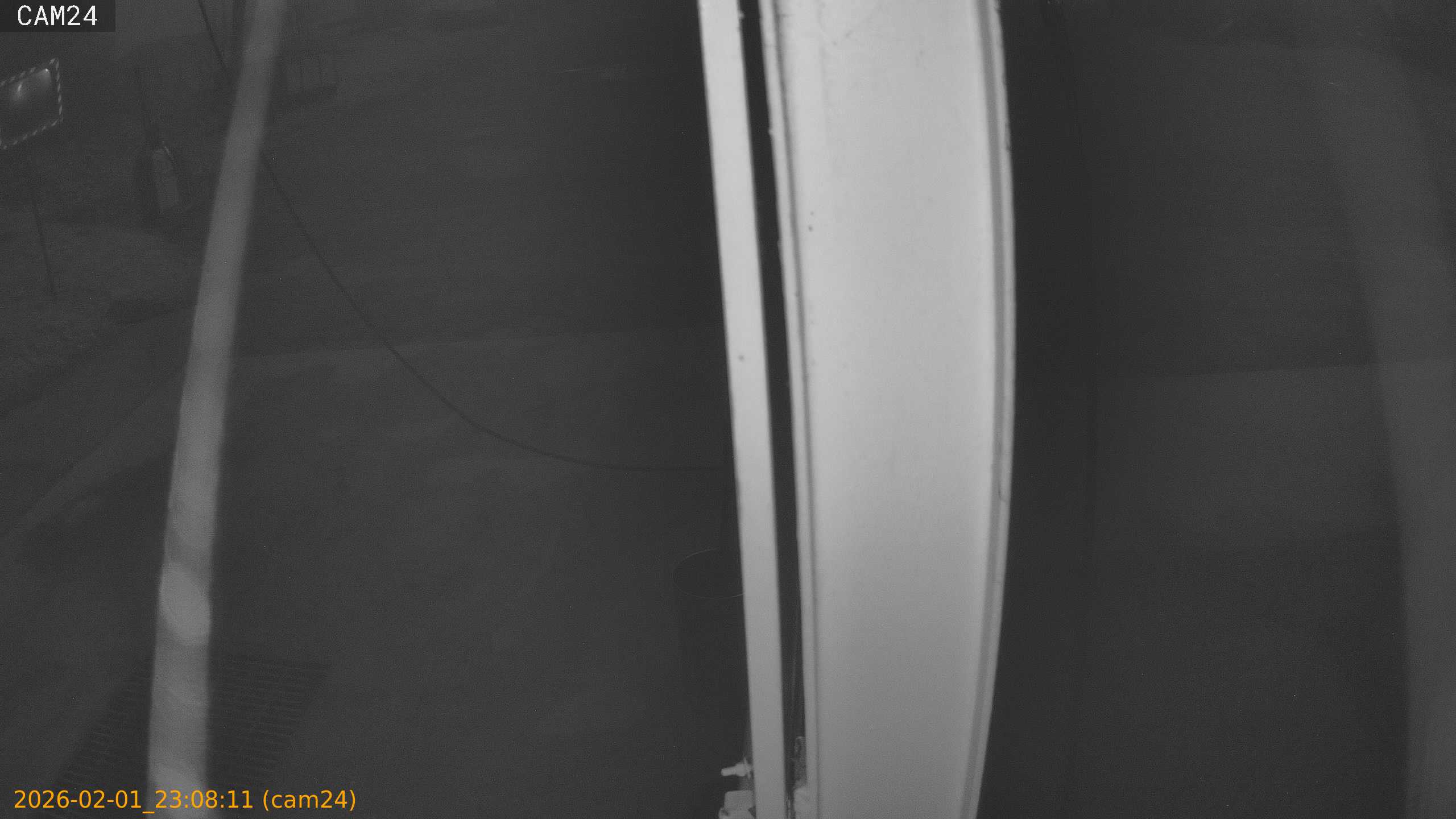 thumbnail_20260201230811