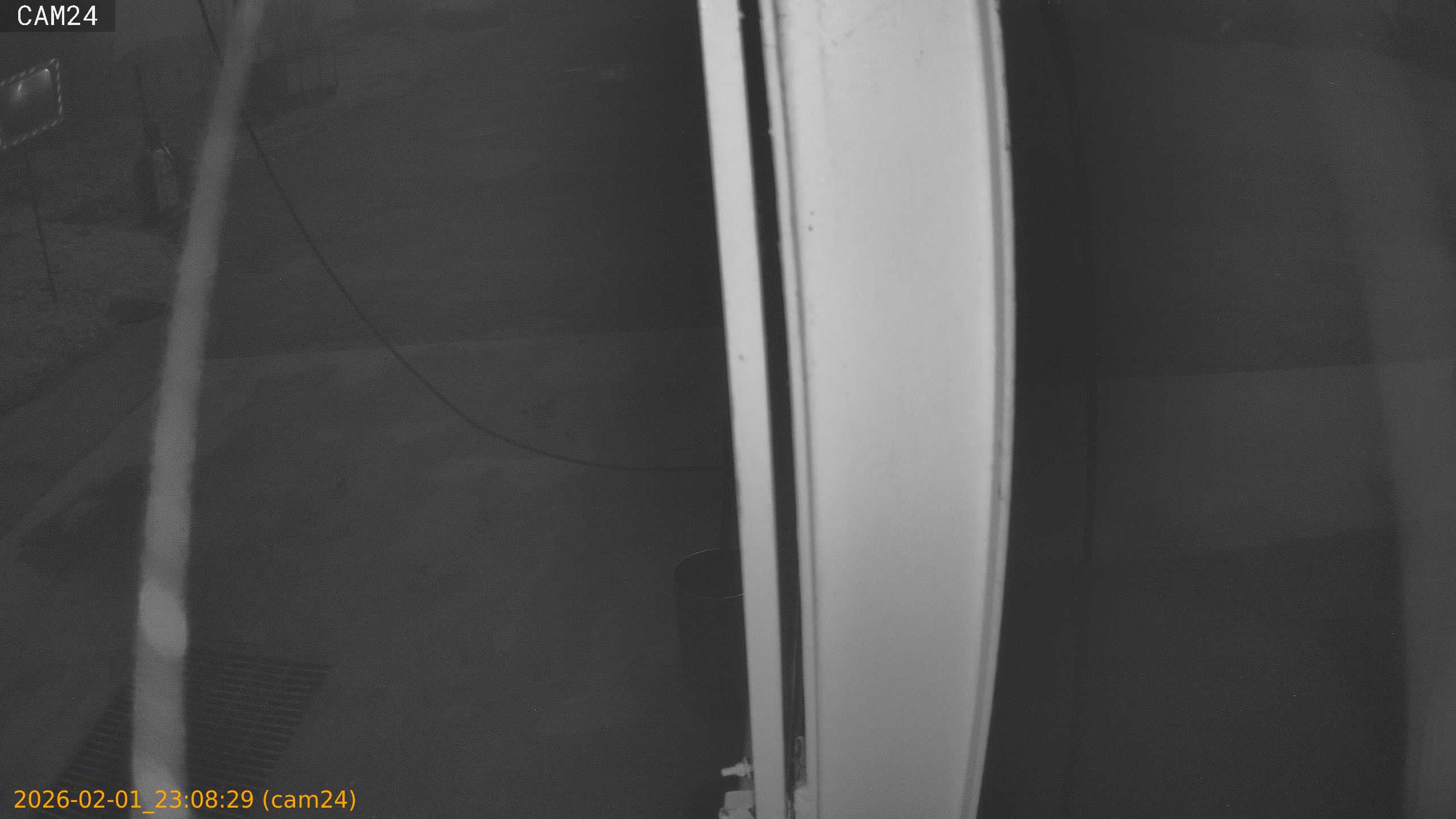 thumbnail_20260201230829