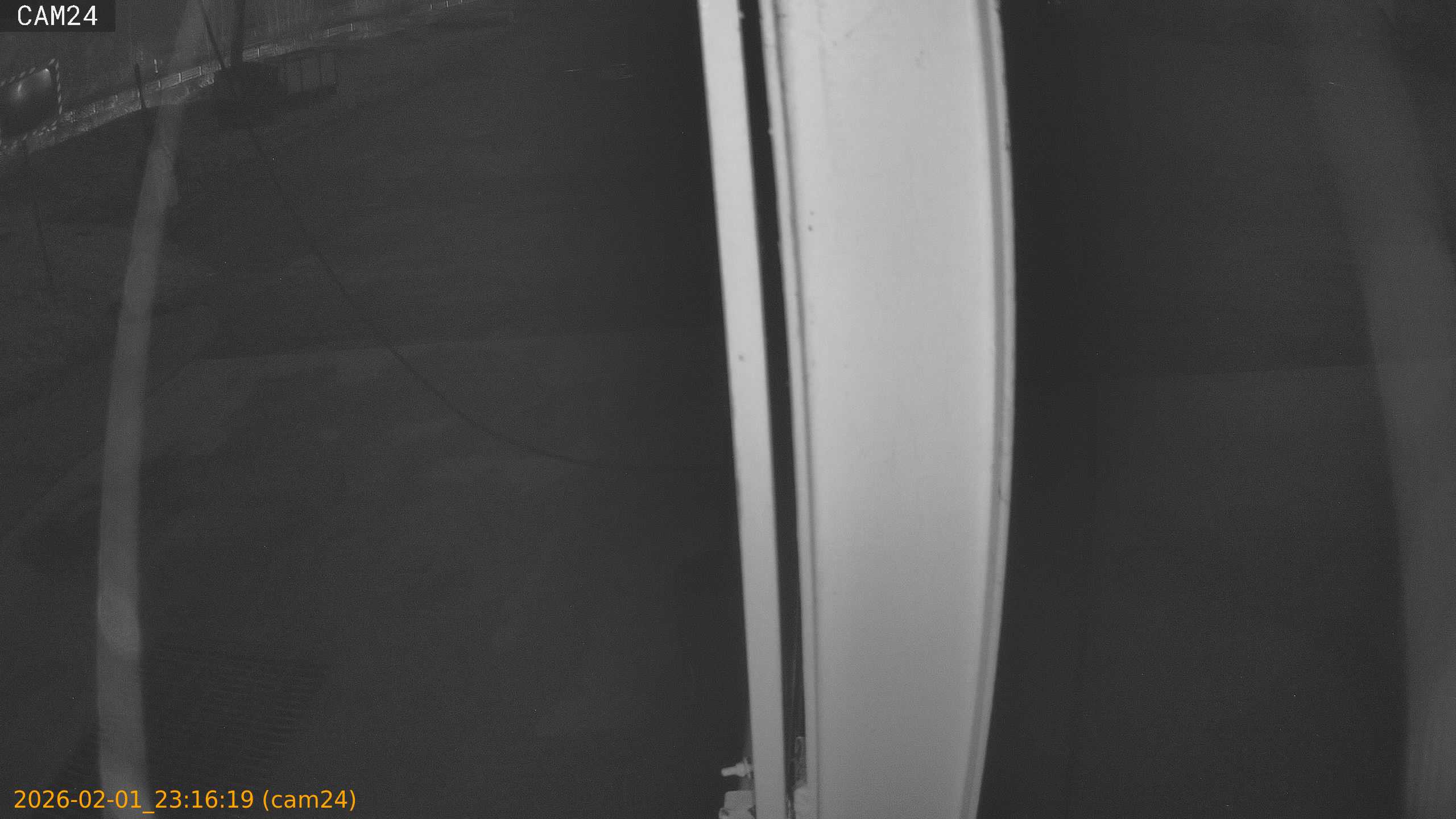 thumbnail_20260201231619