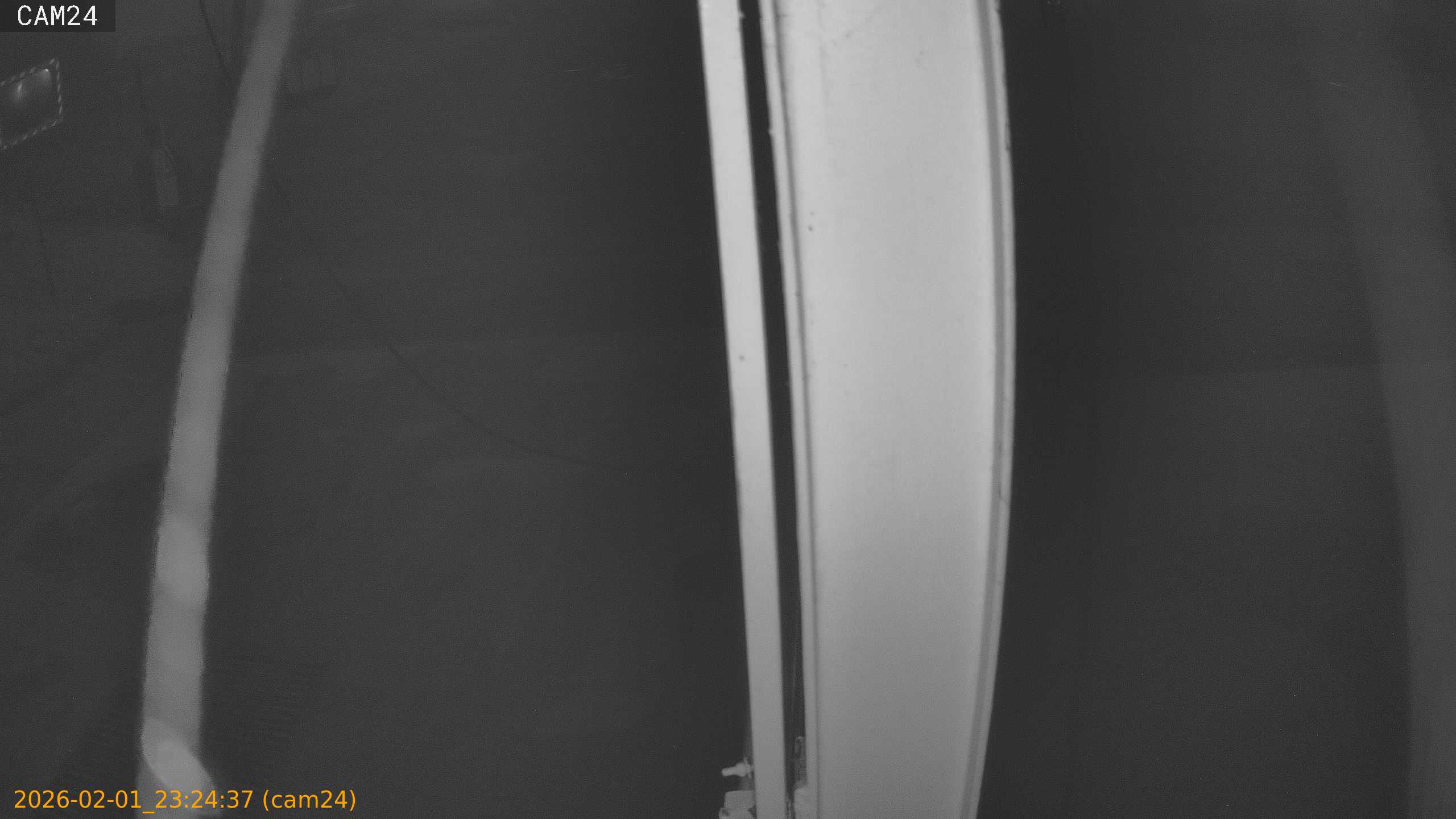 thumbnail_20260201232437