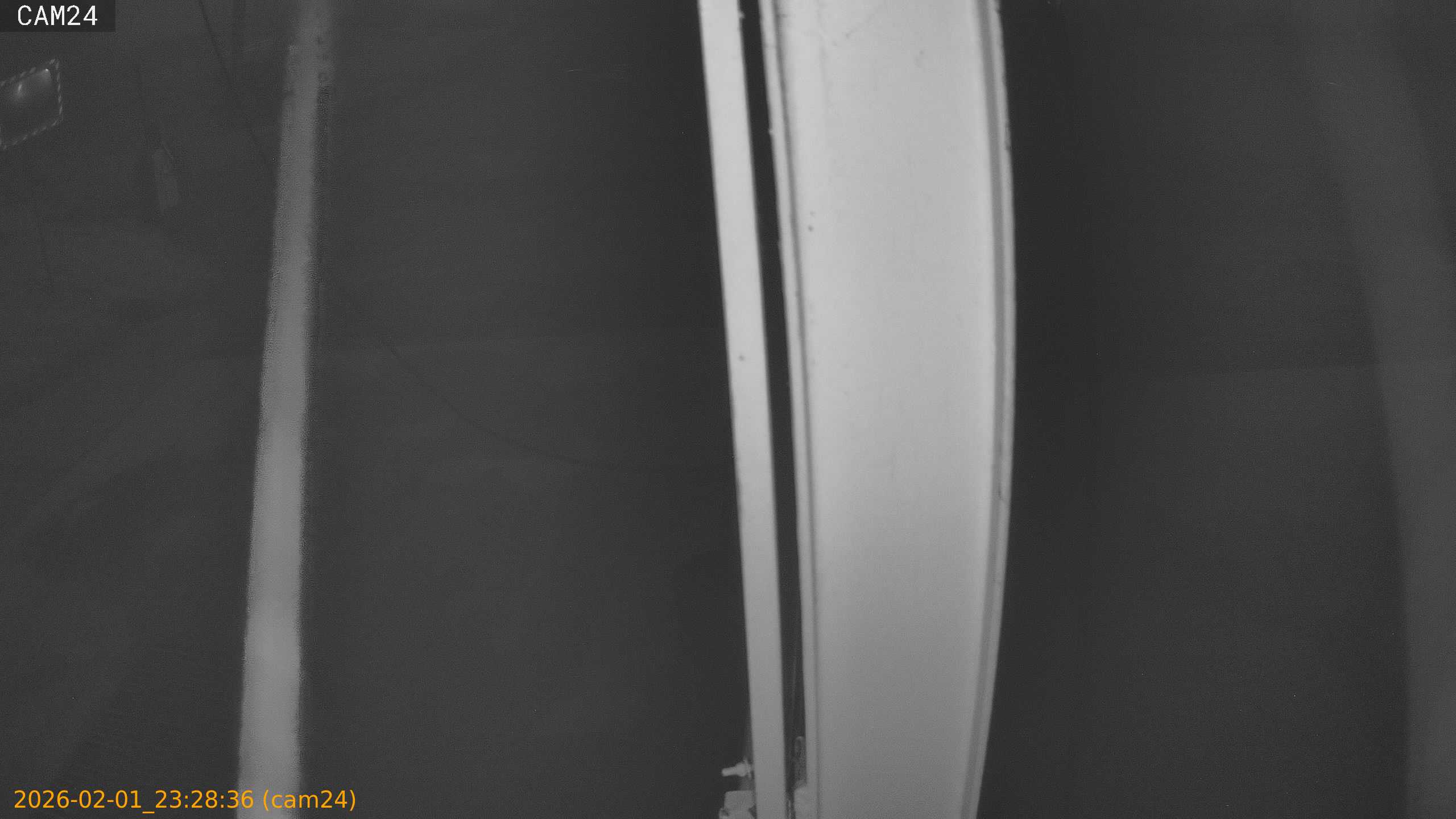 thumbnail_20260201232836