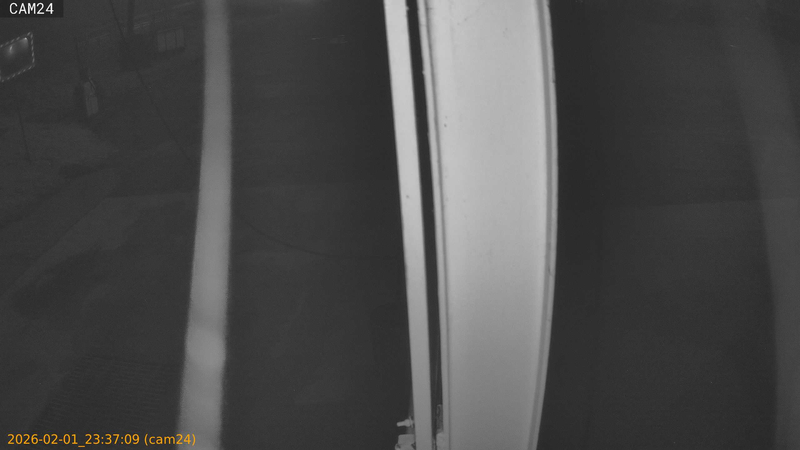 thumbnail_20260201233709