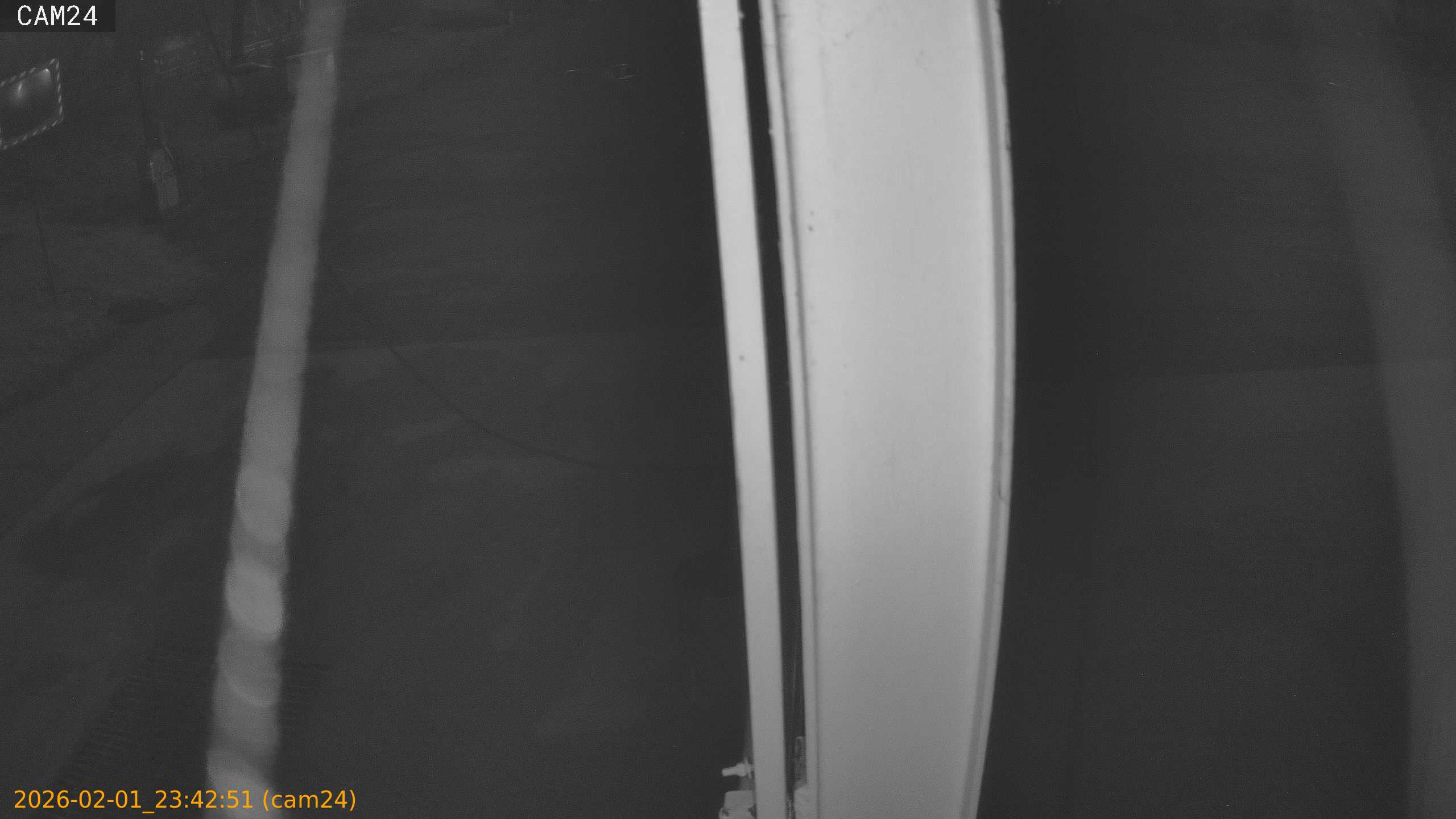 thumbnail_20260201234251